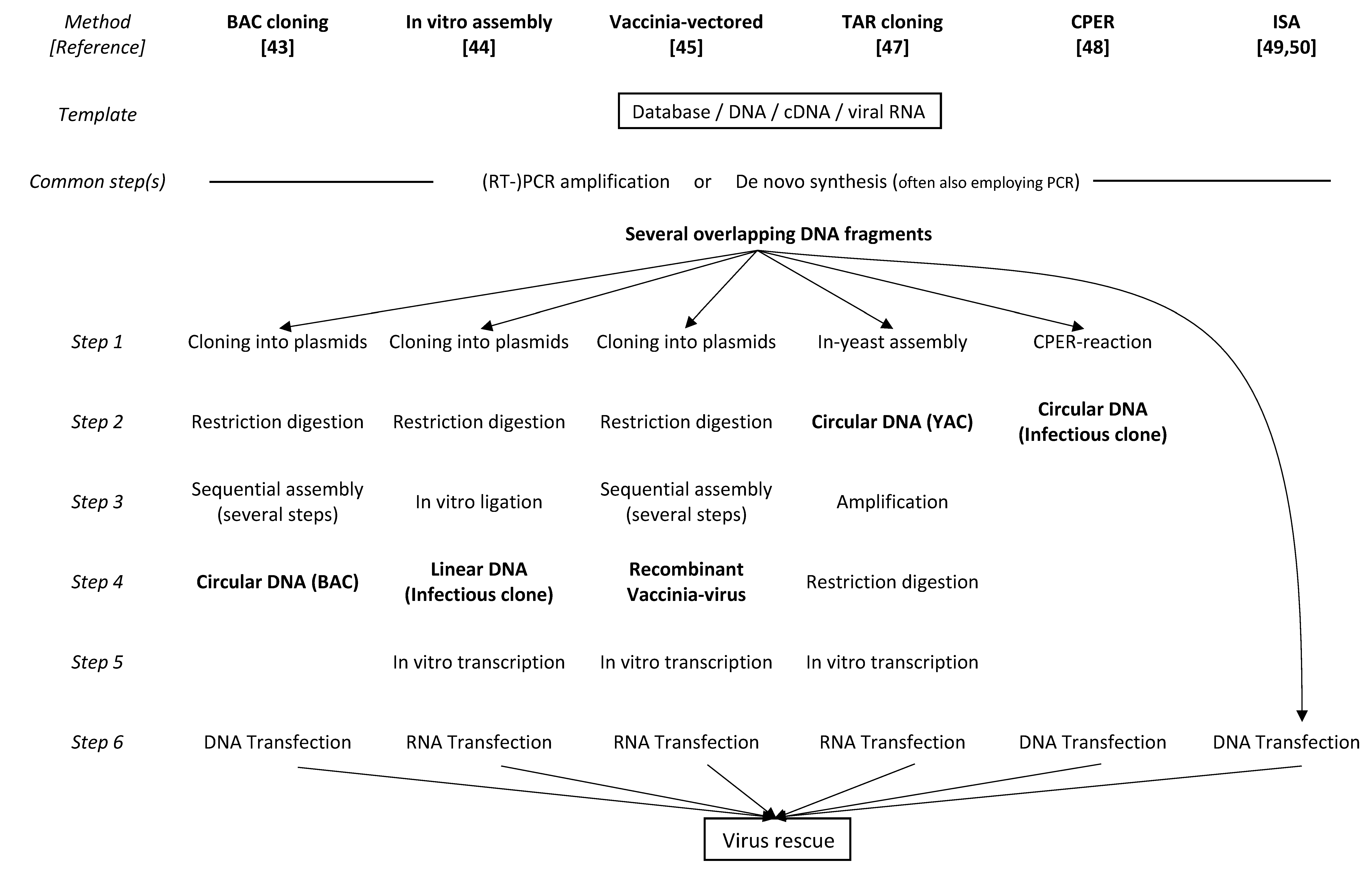 Viruses 14 02682 g001