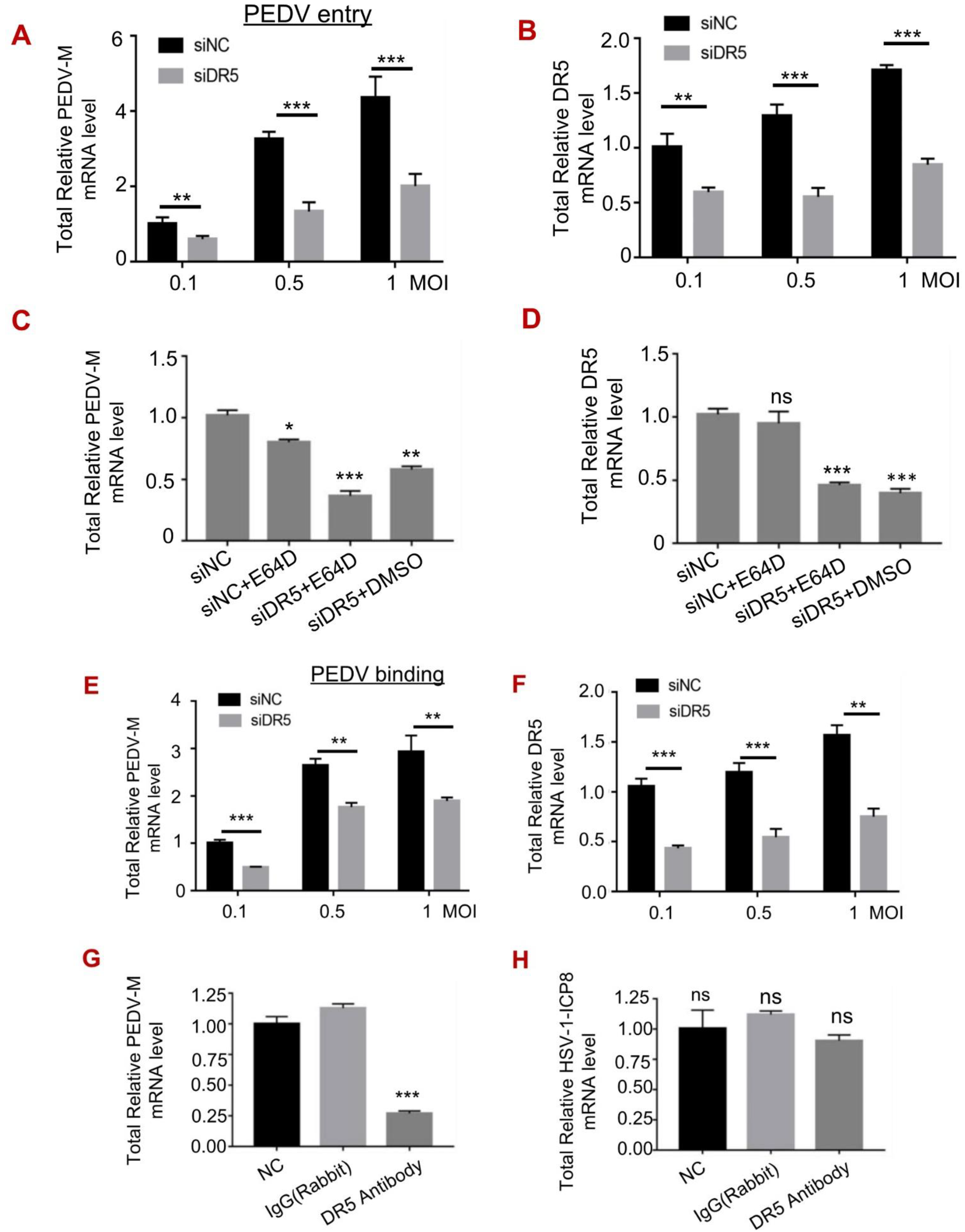 Viruses 14 02724 g004