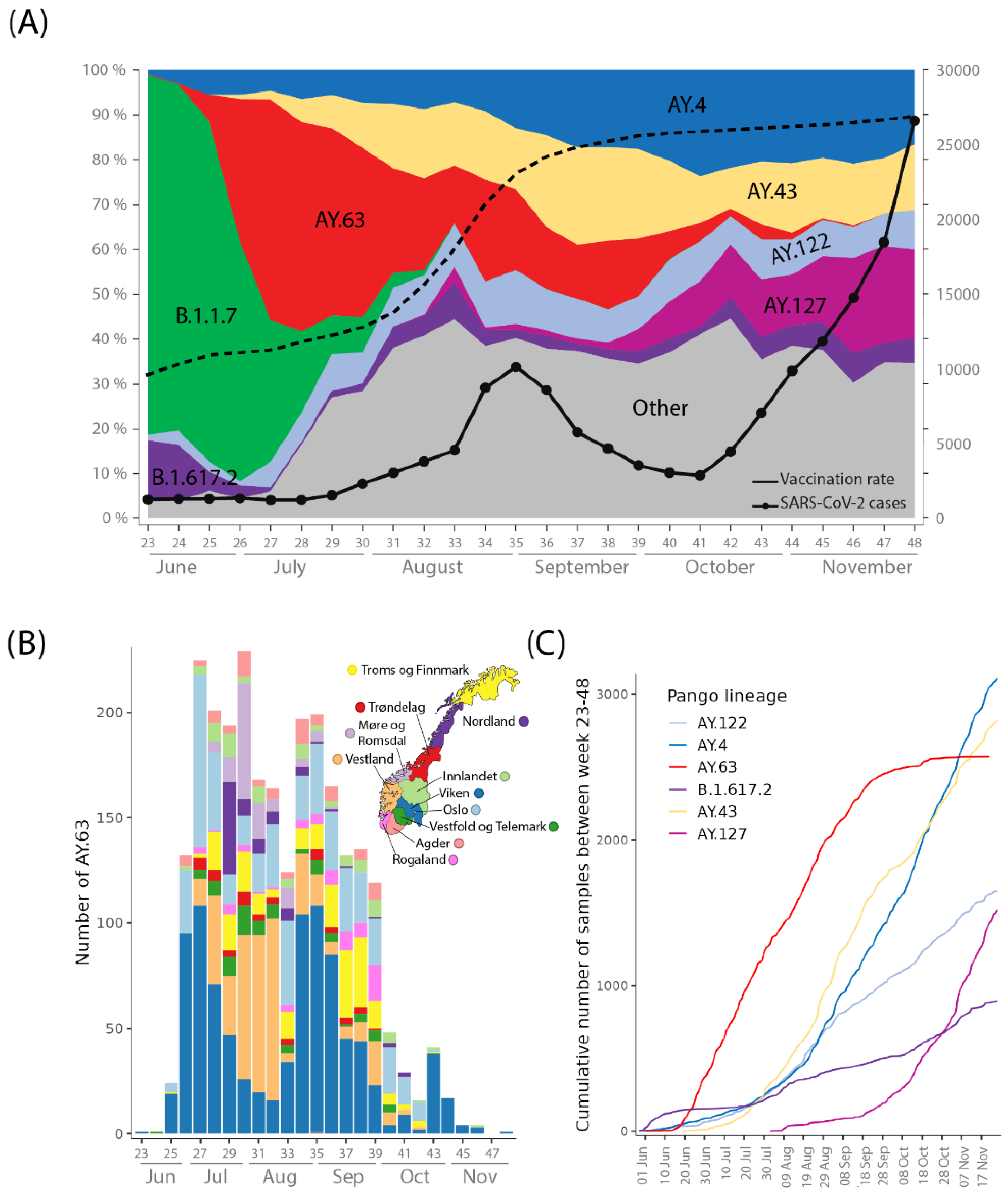 Viruses 14 02734 g001