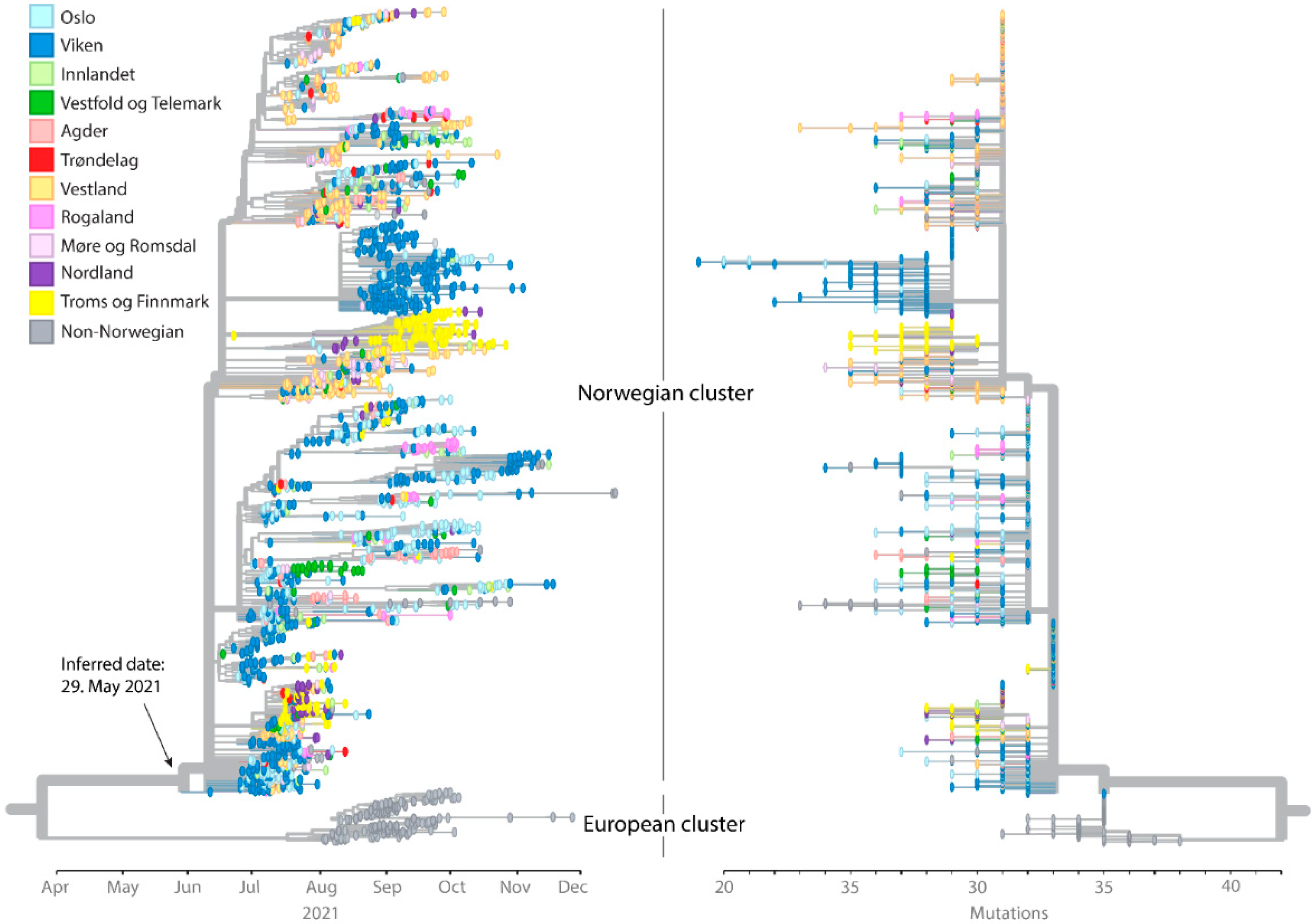Viruses 14 02734 g002