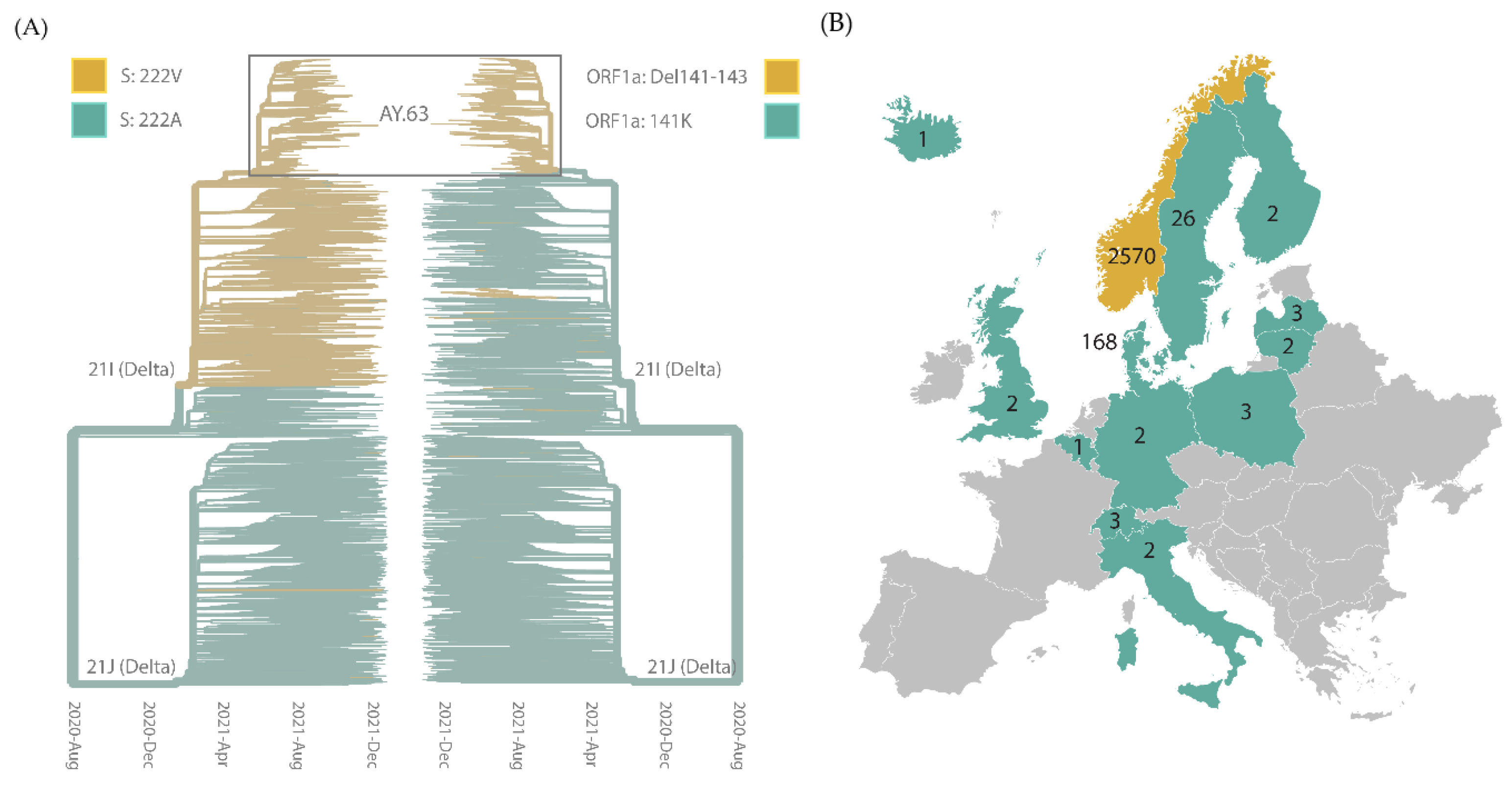 Viruses 14 02734 g003