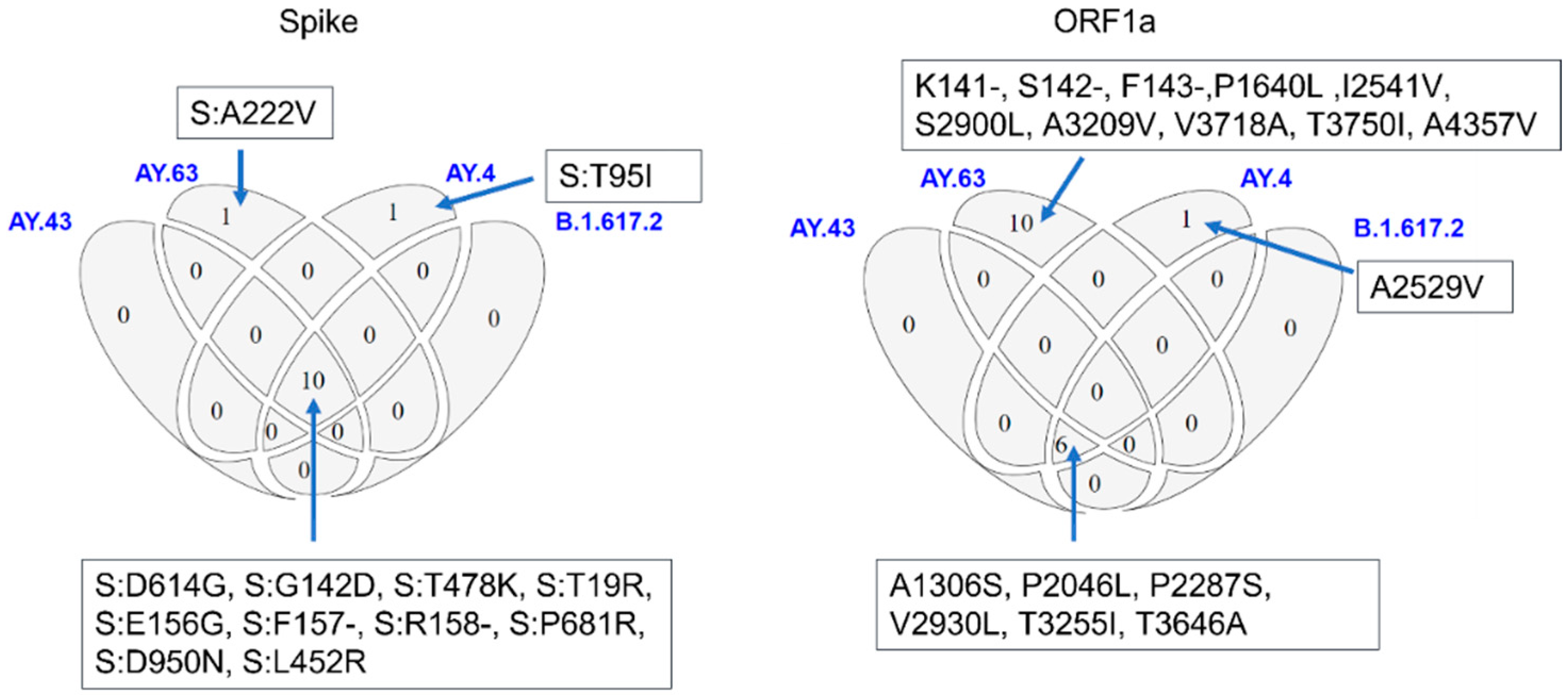 Viruses 14 02734 g005