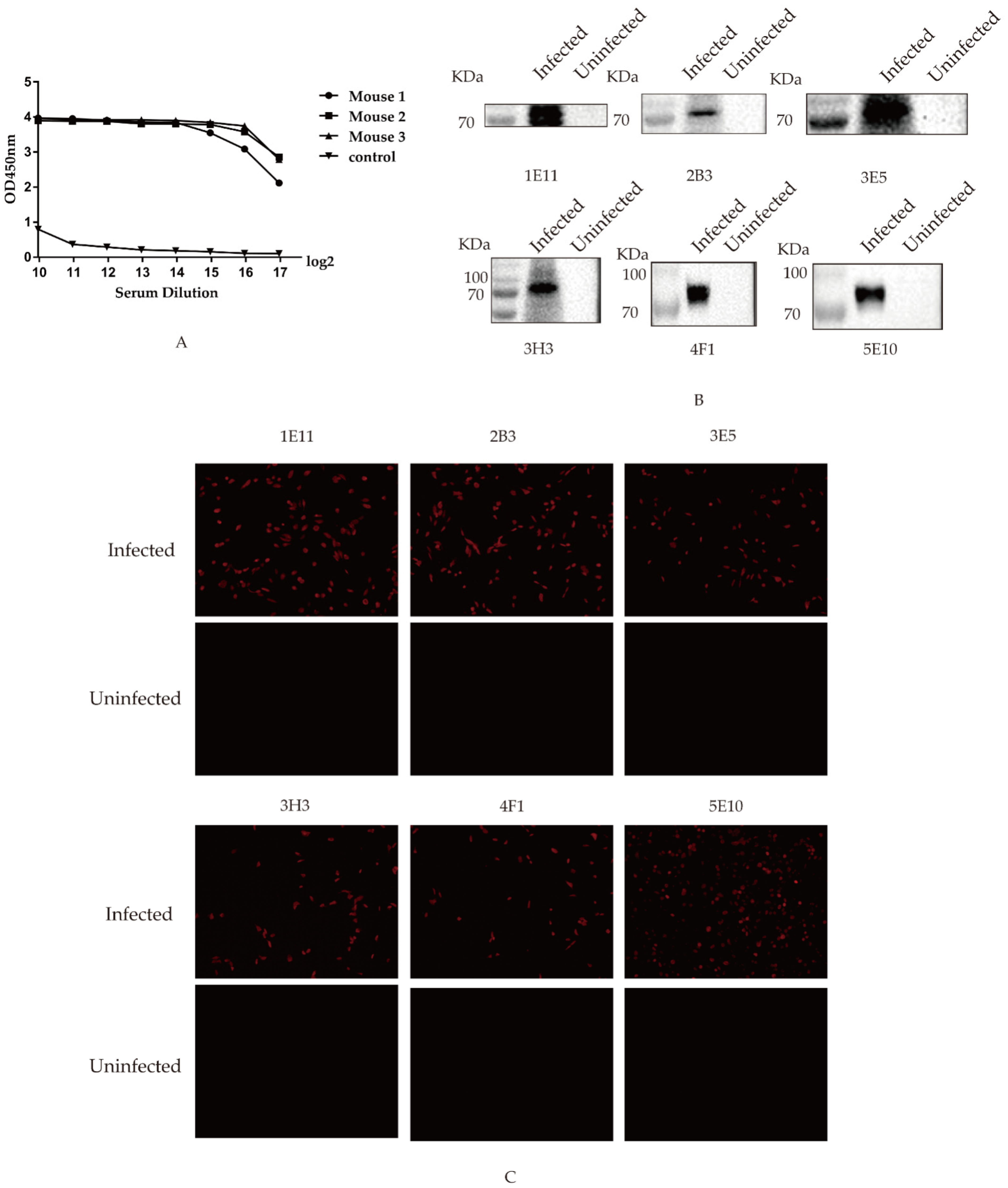 Viruses 14 02739 g002 Viruses 14 02739 g002