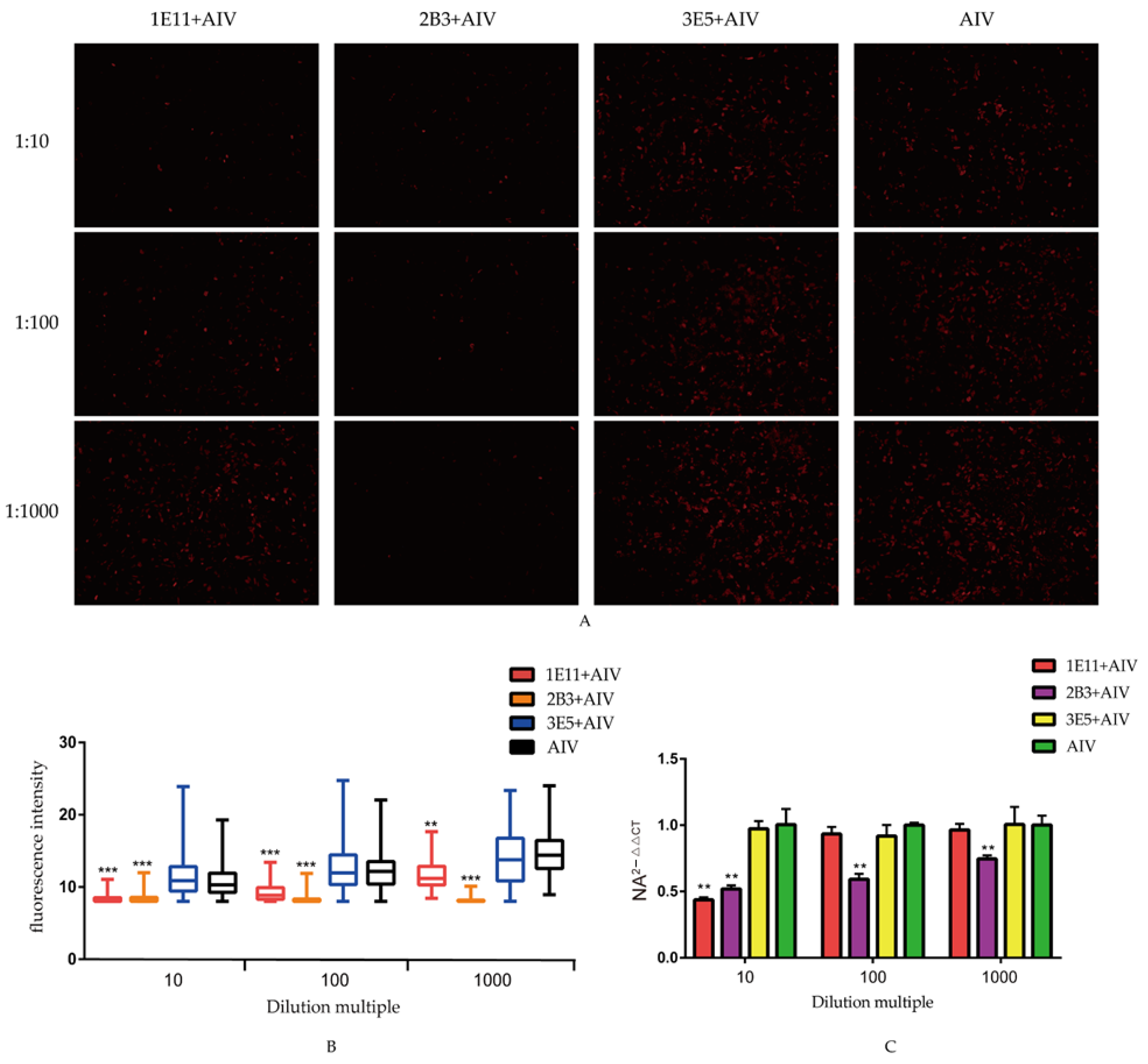 Viruses 14 02739 g004 Viruses 14 02739 g004
