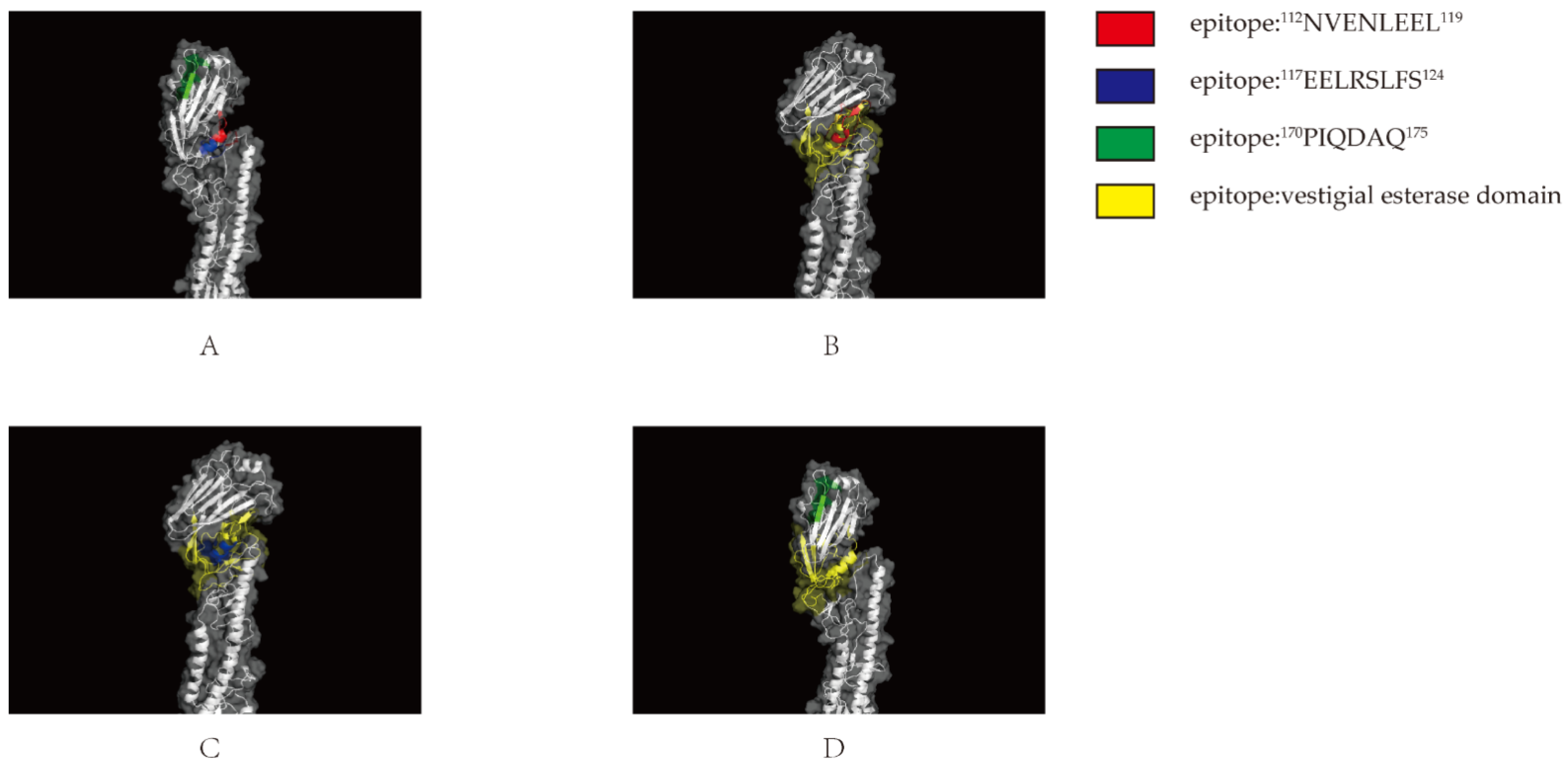 Viruses 14 02739 g006 Viruses 14 02739 g006