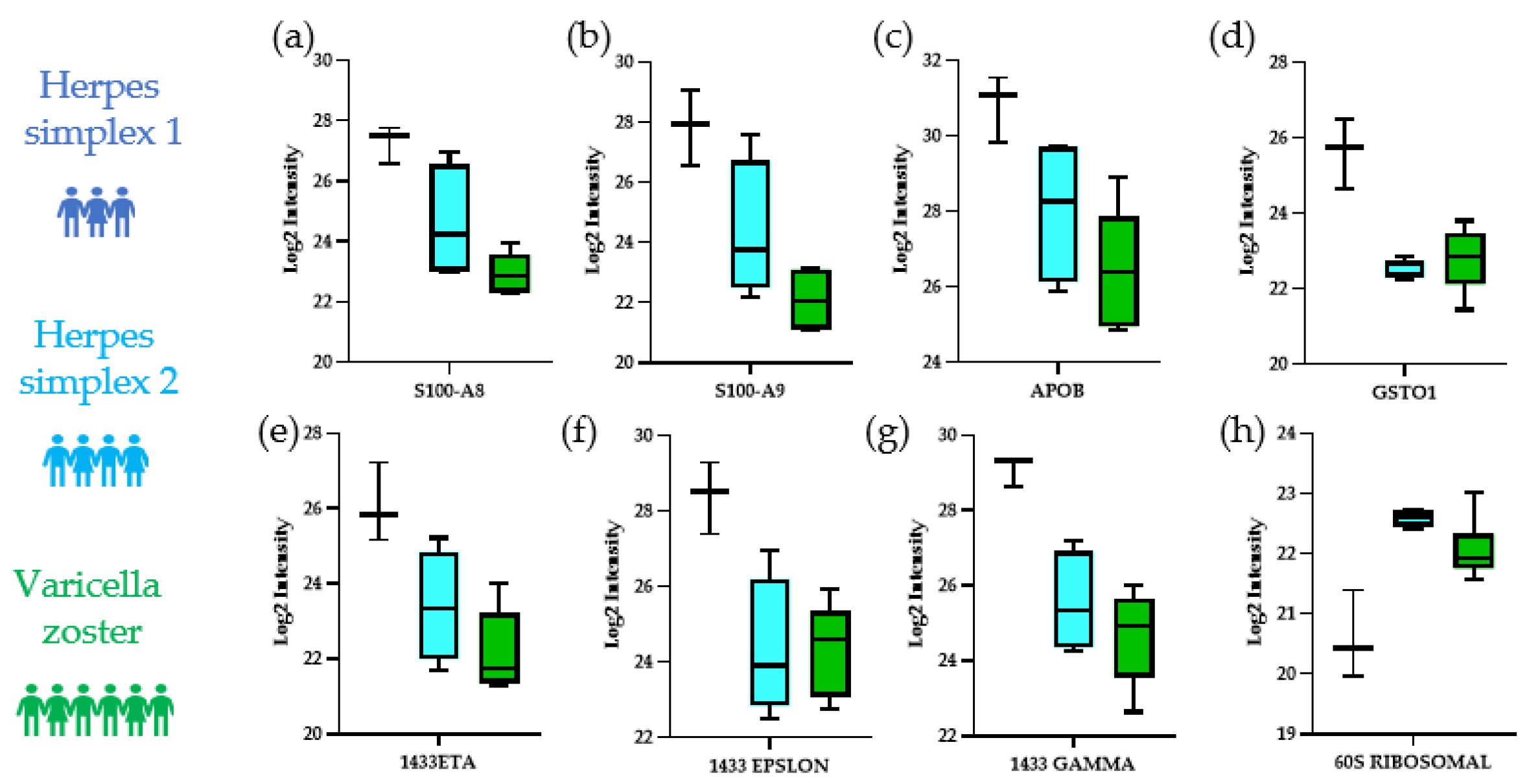 Viruses 14 02757 g004