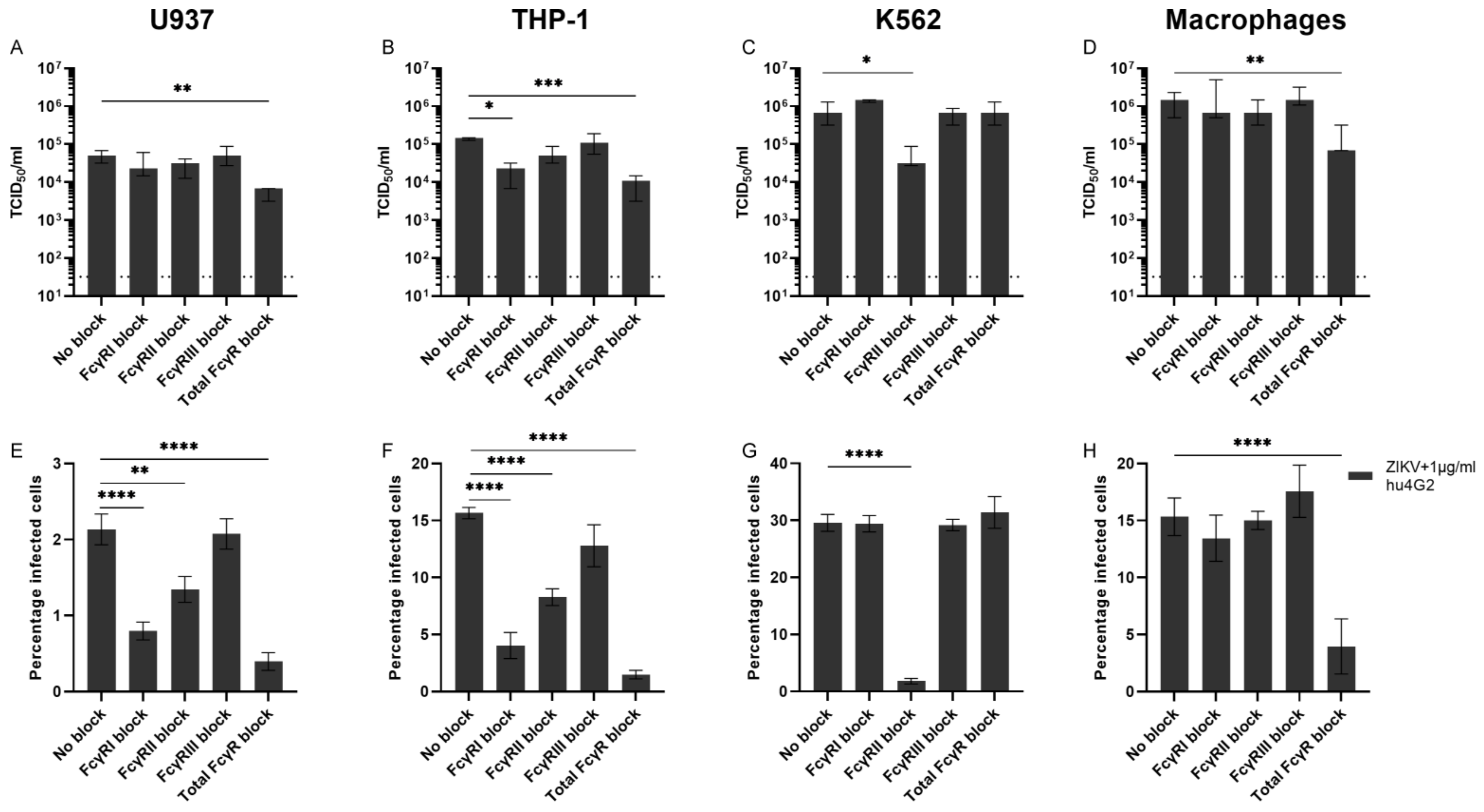 Viruses 14 02776 g004