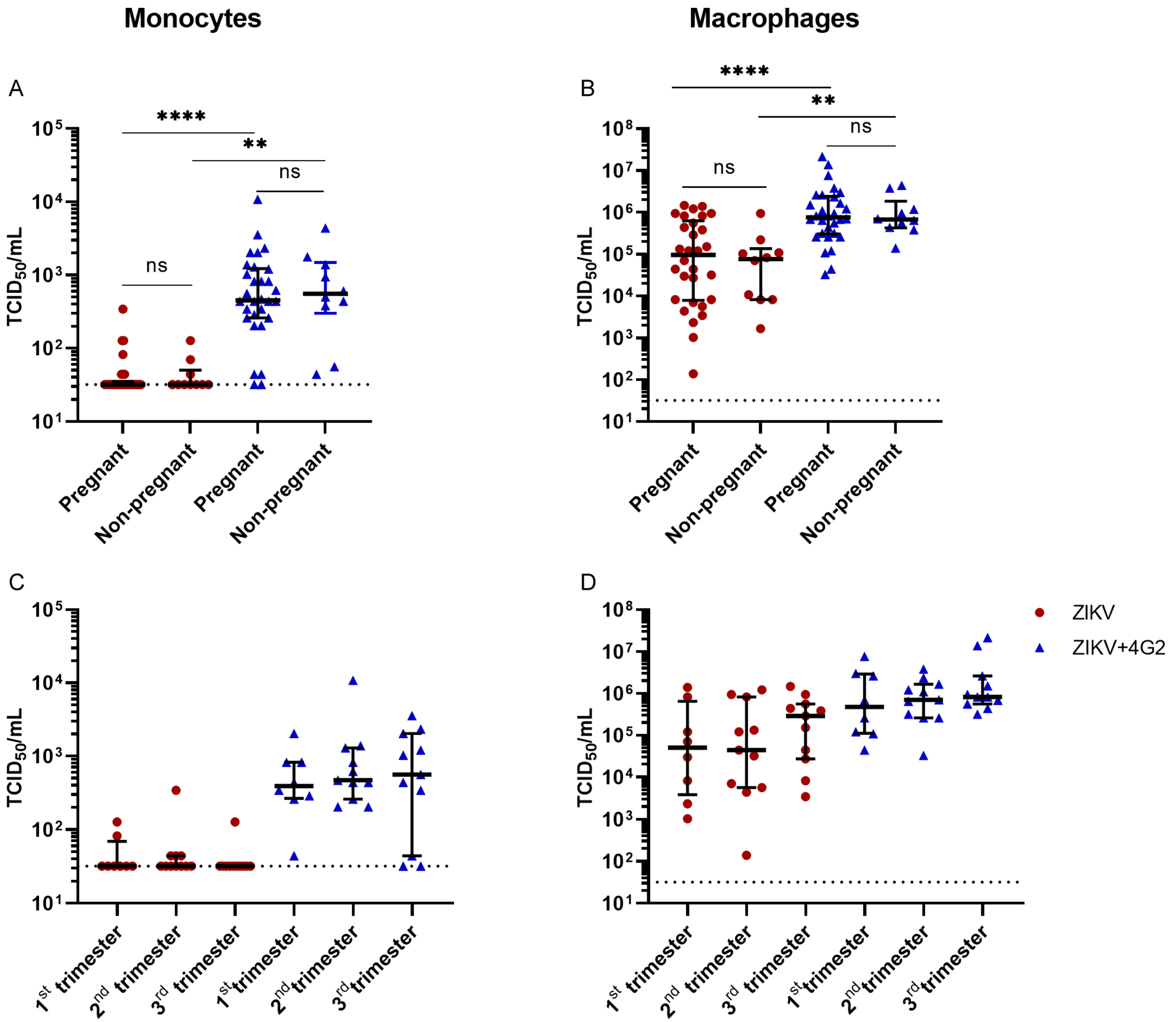 Viruses 14 02776 g006