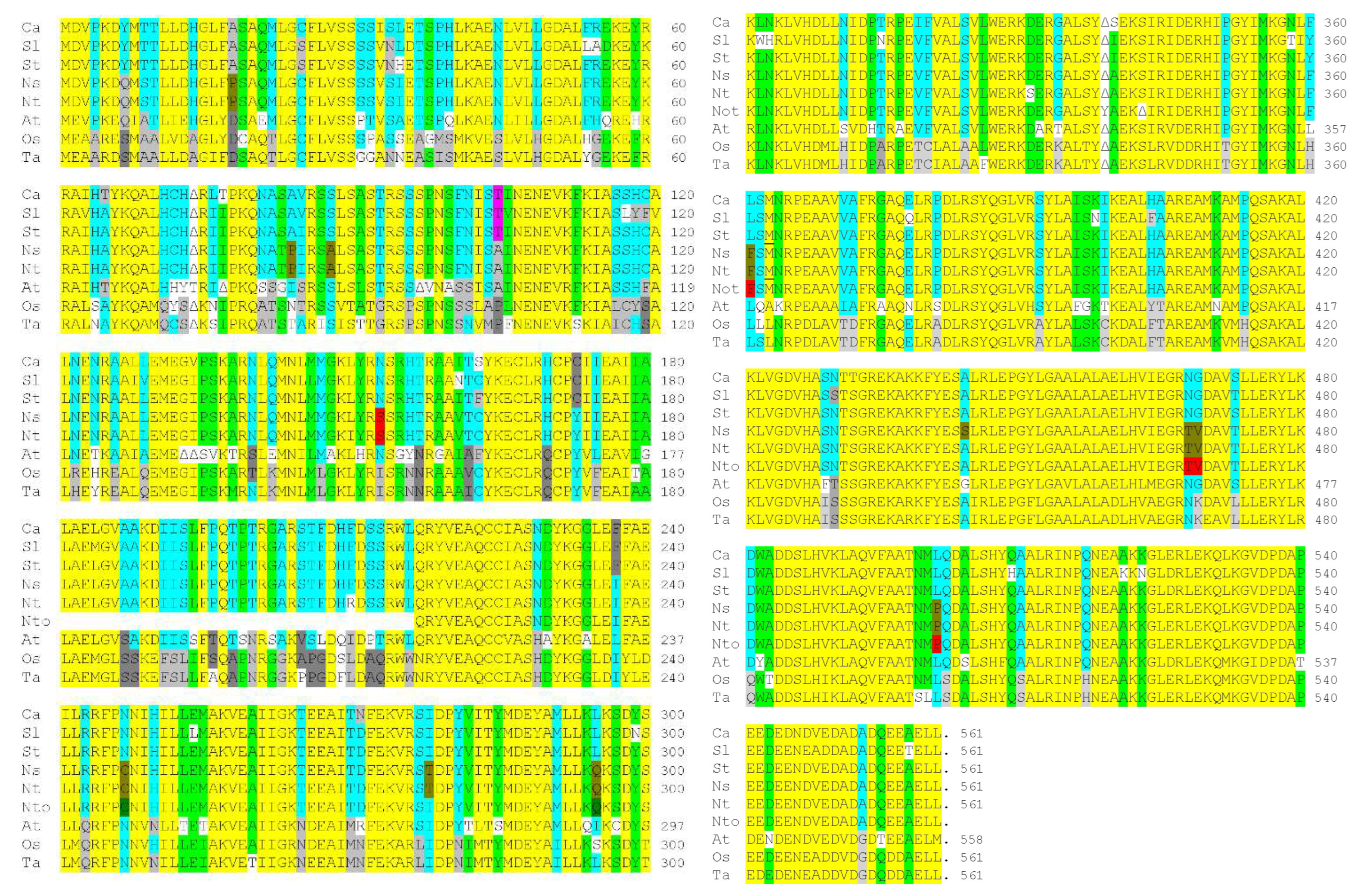 Viruses 14 02782 g004 Viruses 14 02782 g004