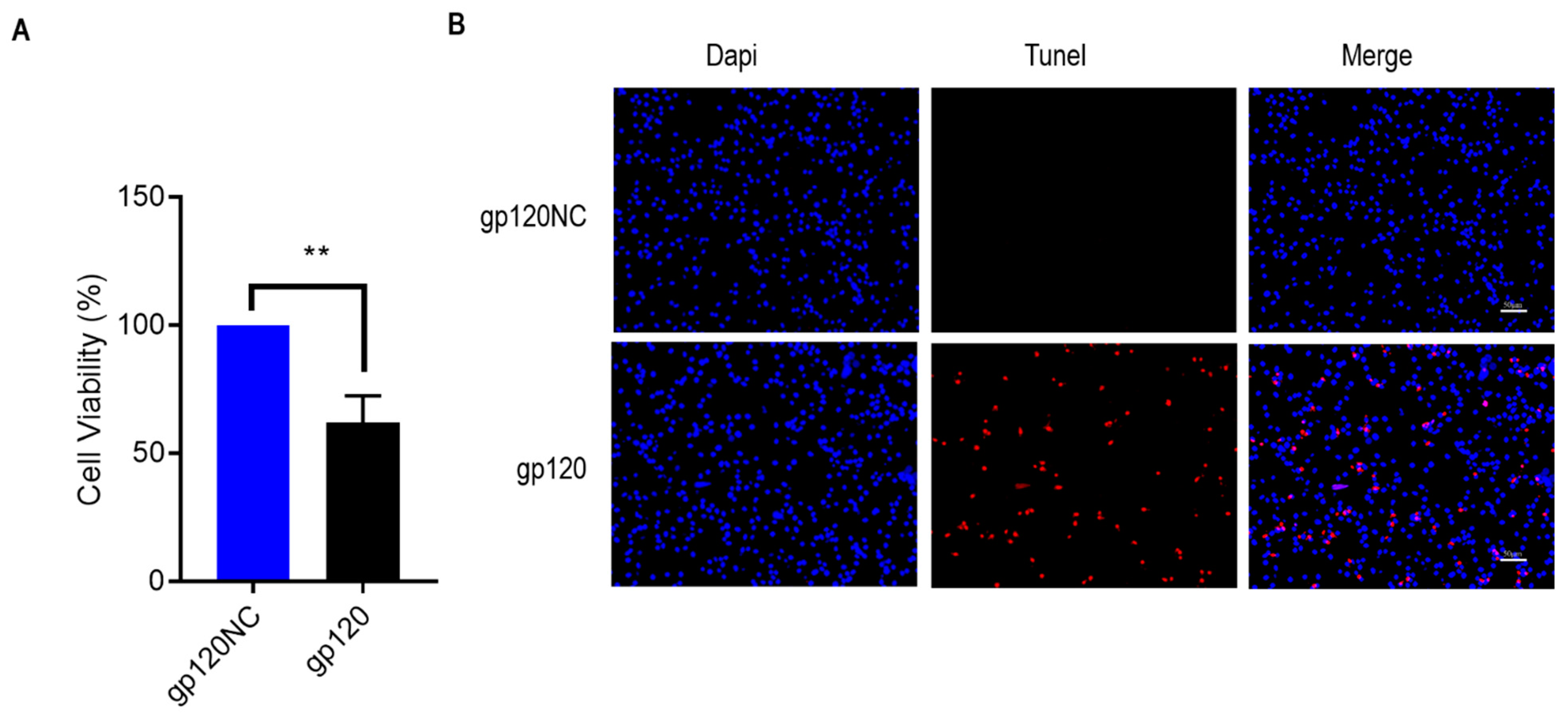 Viruses 14 02793 g002a