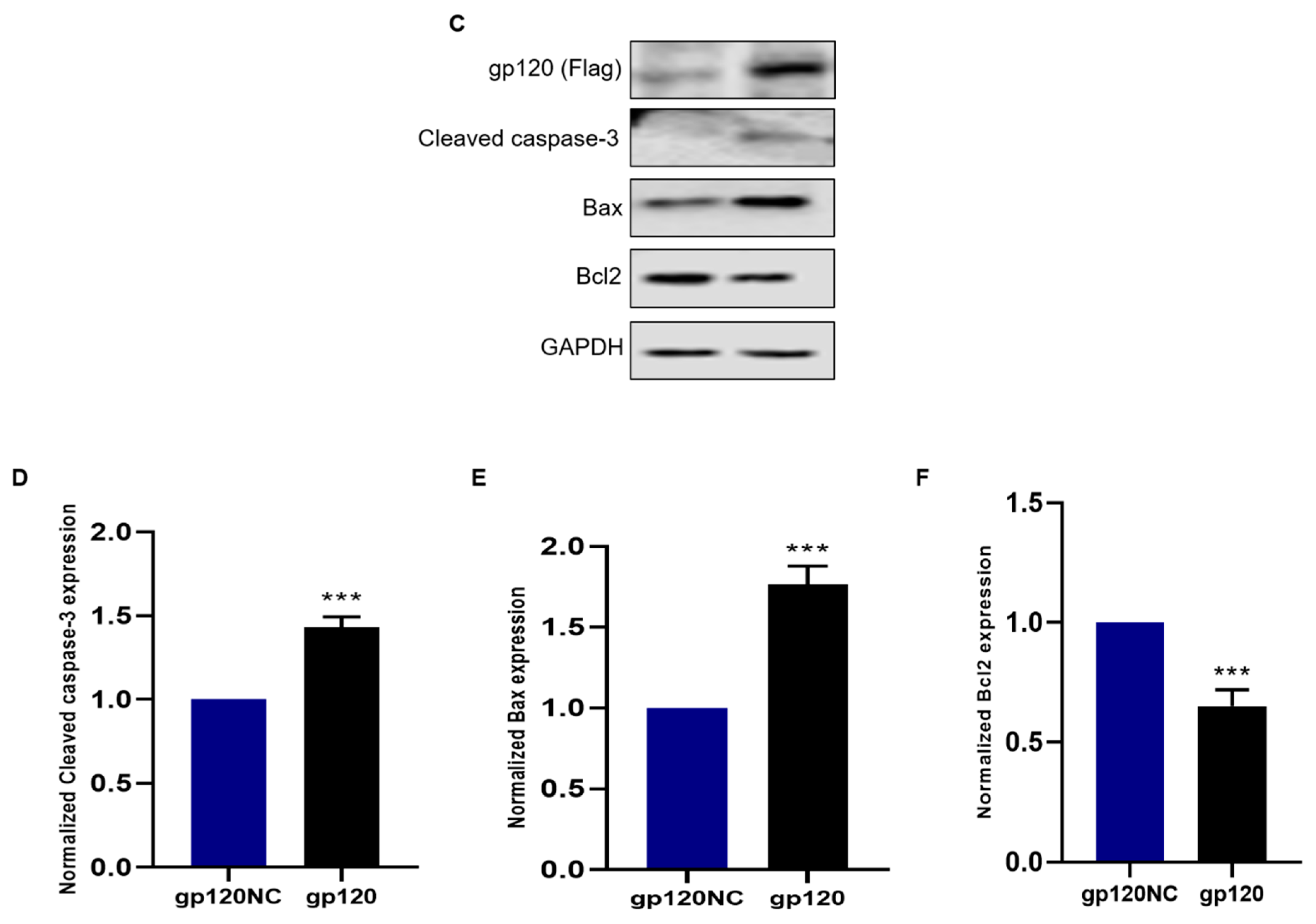 Viruses 14 02793 g002b