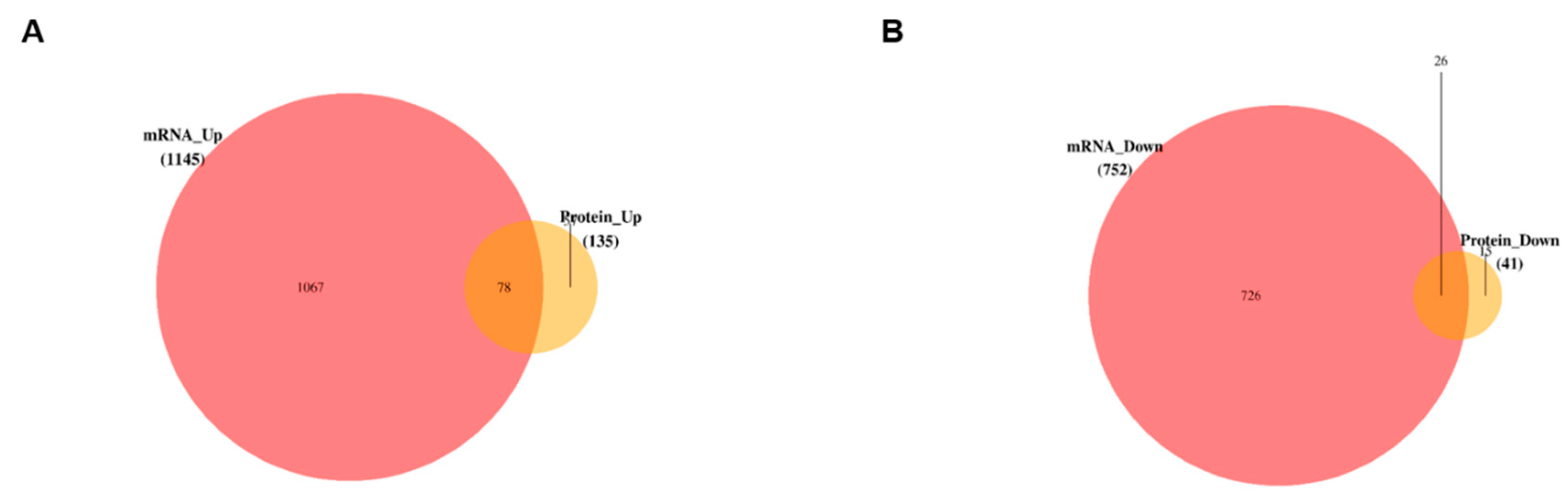 Viruses 14 02793 g005a