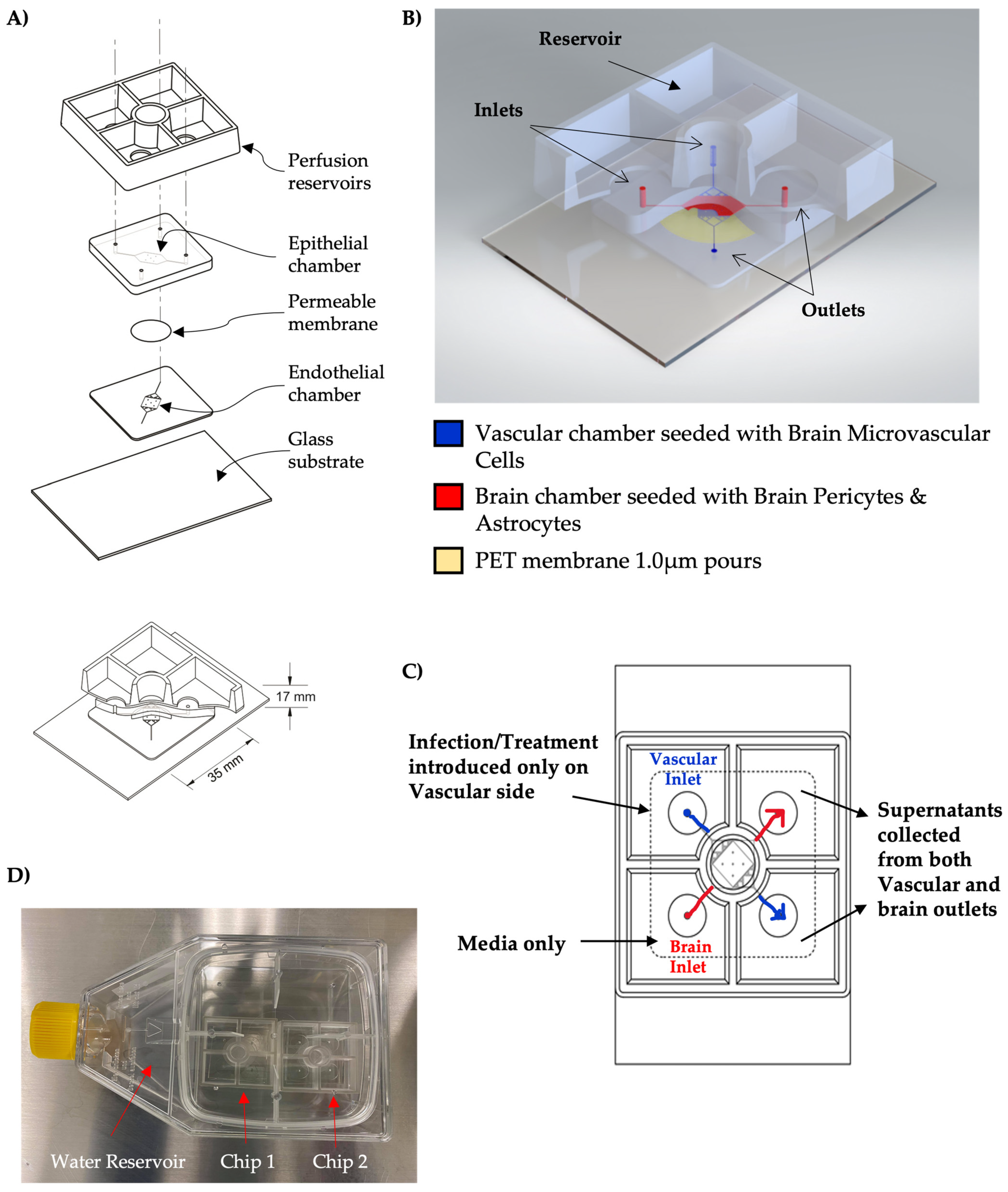 Viruses 14 02799 g001 Viruses 14 02799 g001