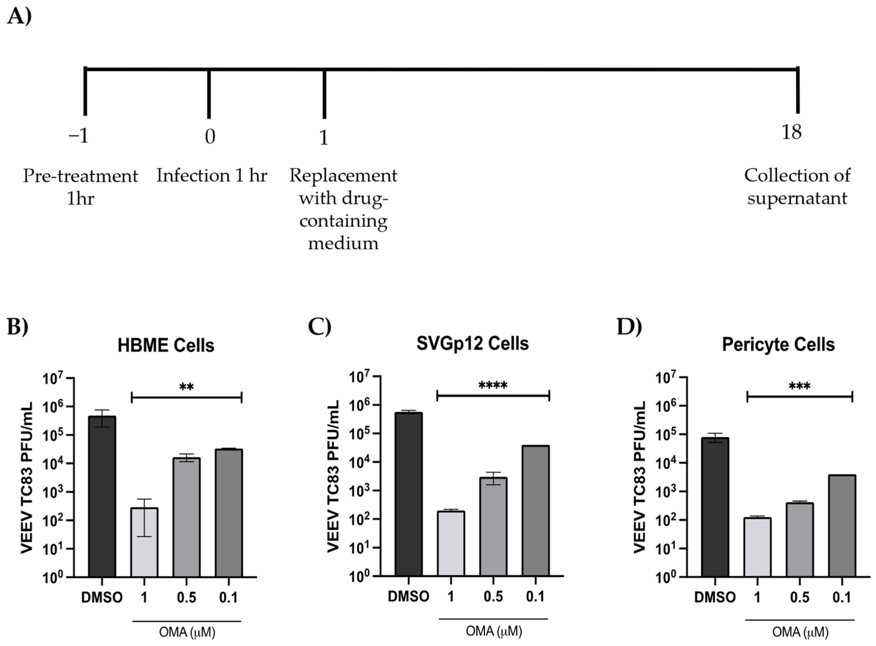 Viruses 14 02799 g003 Viruses 14 02799 g003