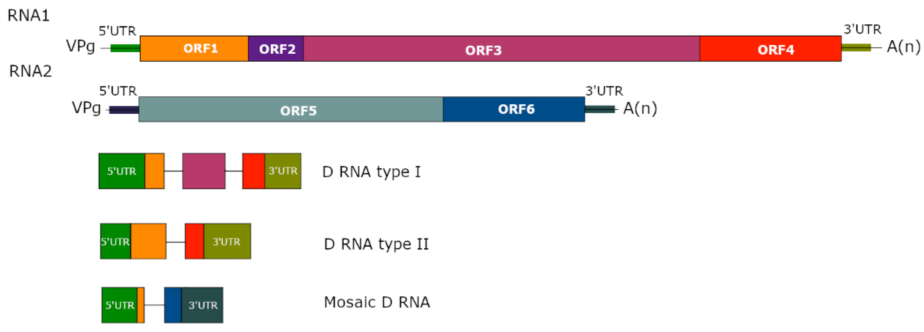 Viruses 14 02814 g001