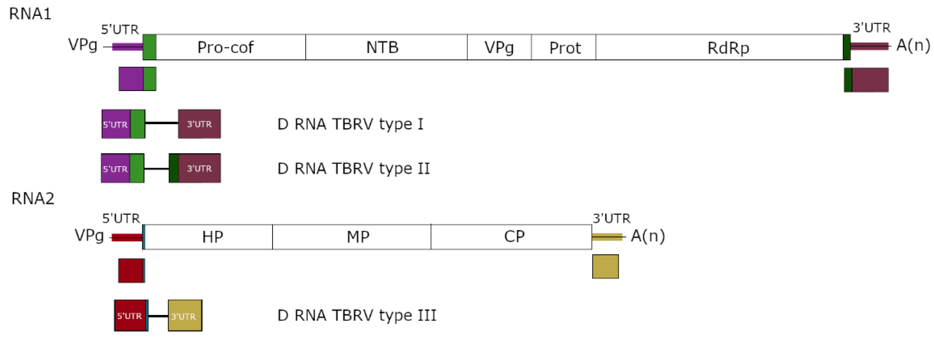 Viruses 14 02814 g002
