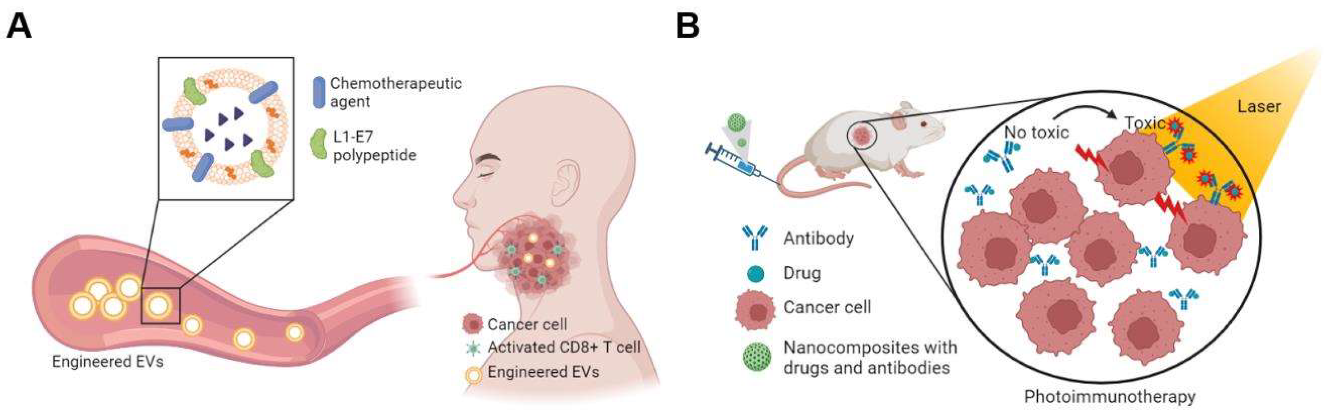 Viruses 14 02824 g002