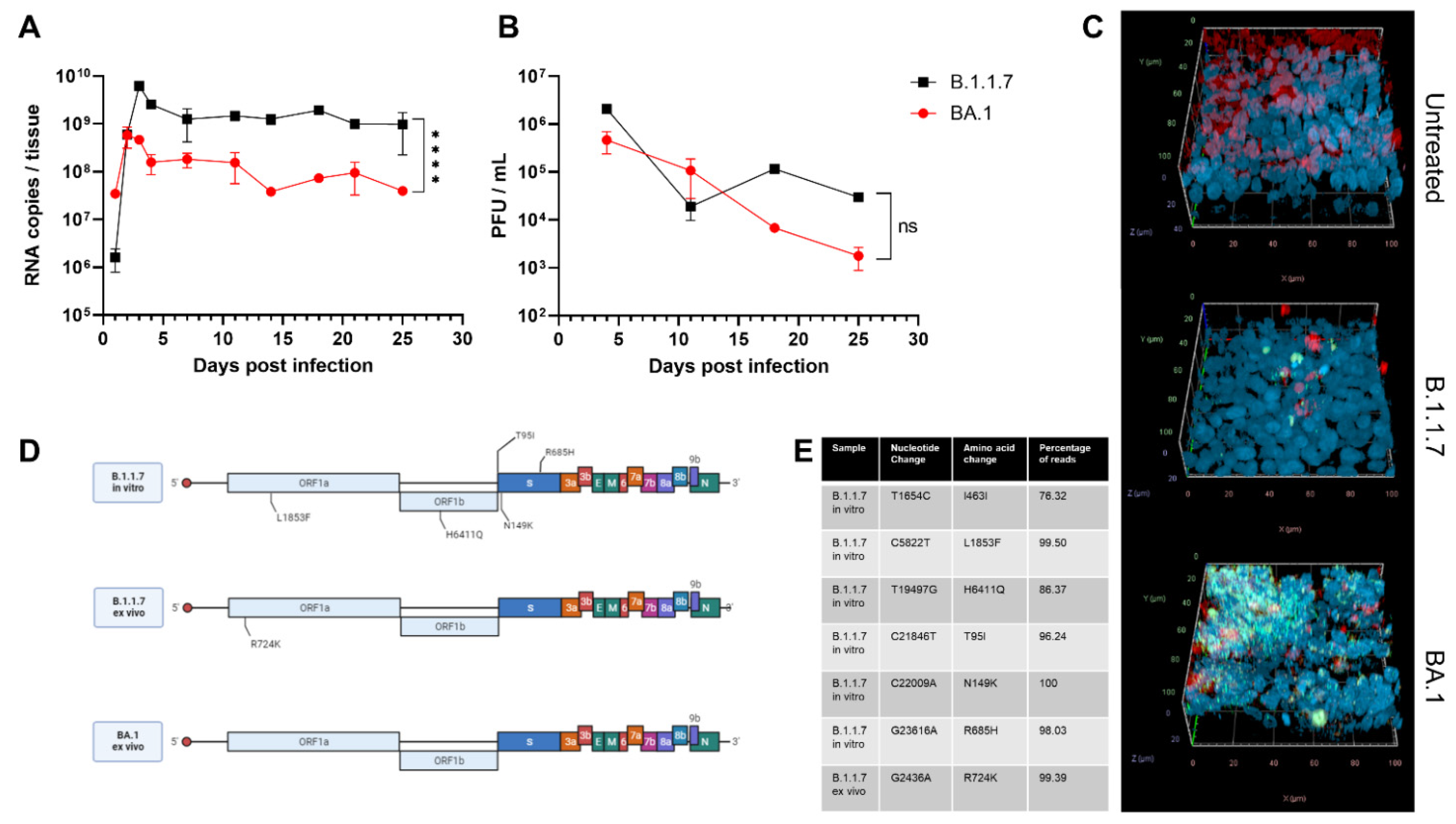 Viruses 15 00013 g001 Viruses 15 00013 g001