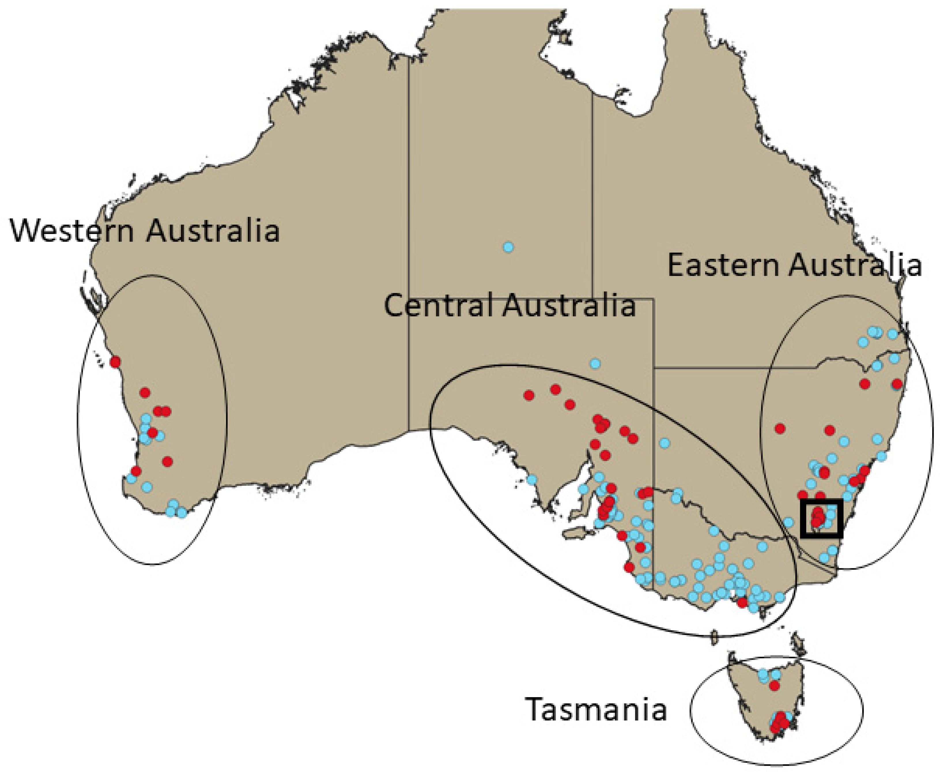 RHDV-2: New virus outbreak threatens US rabbit population