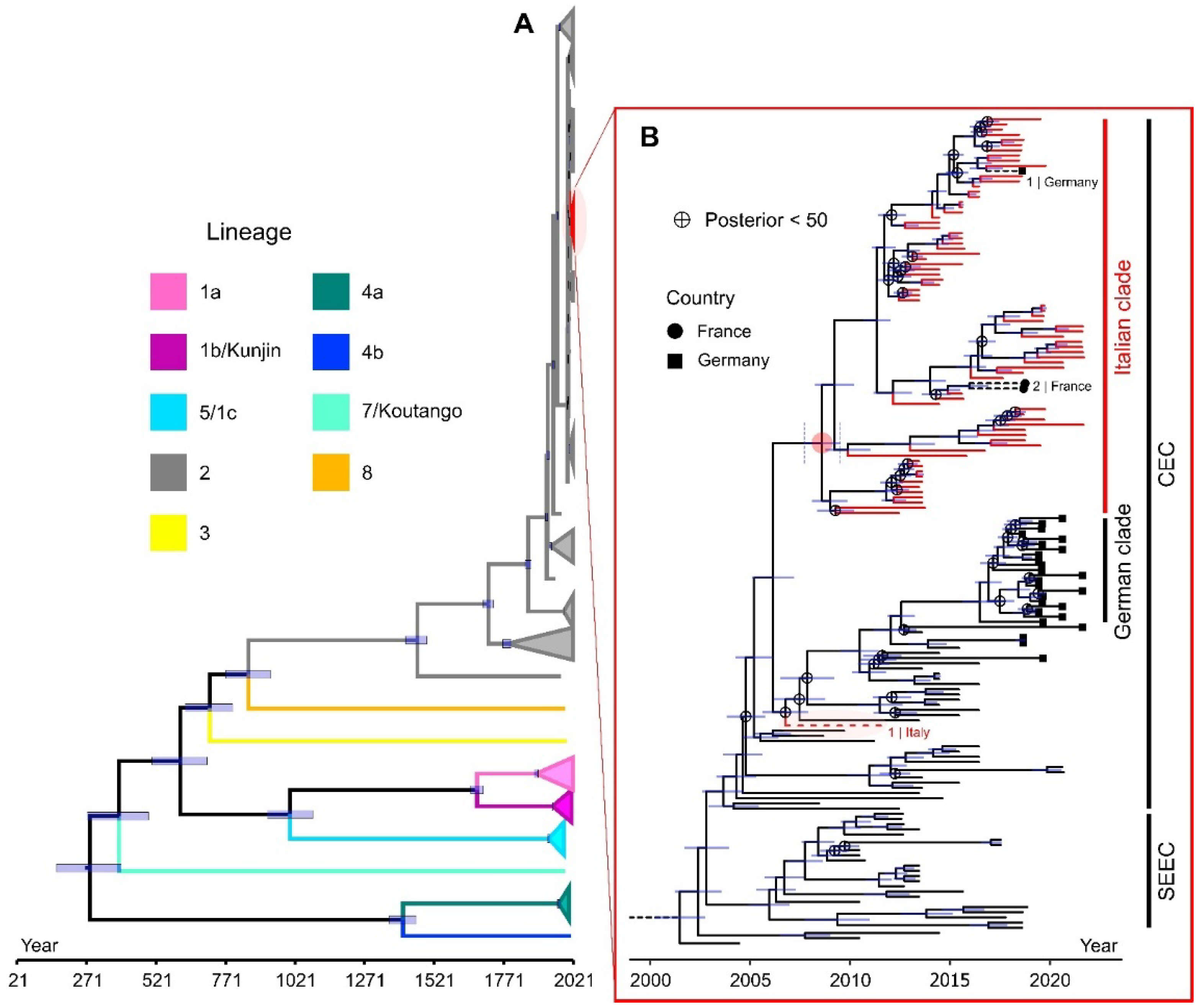 Viruses 15 00035 g003