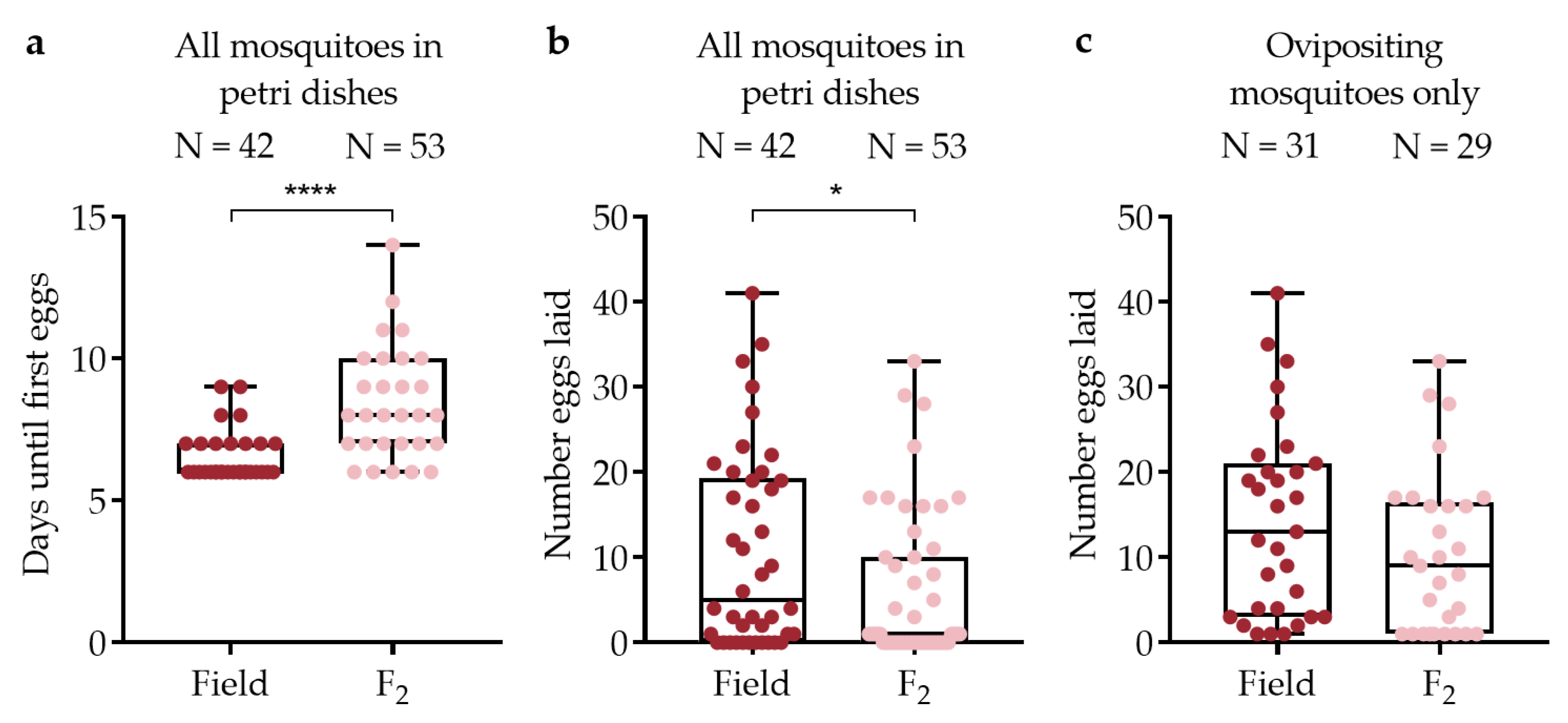 Viruses 15 00045 g005