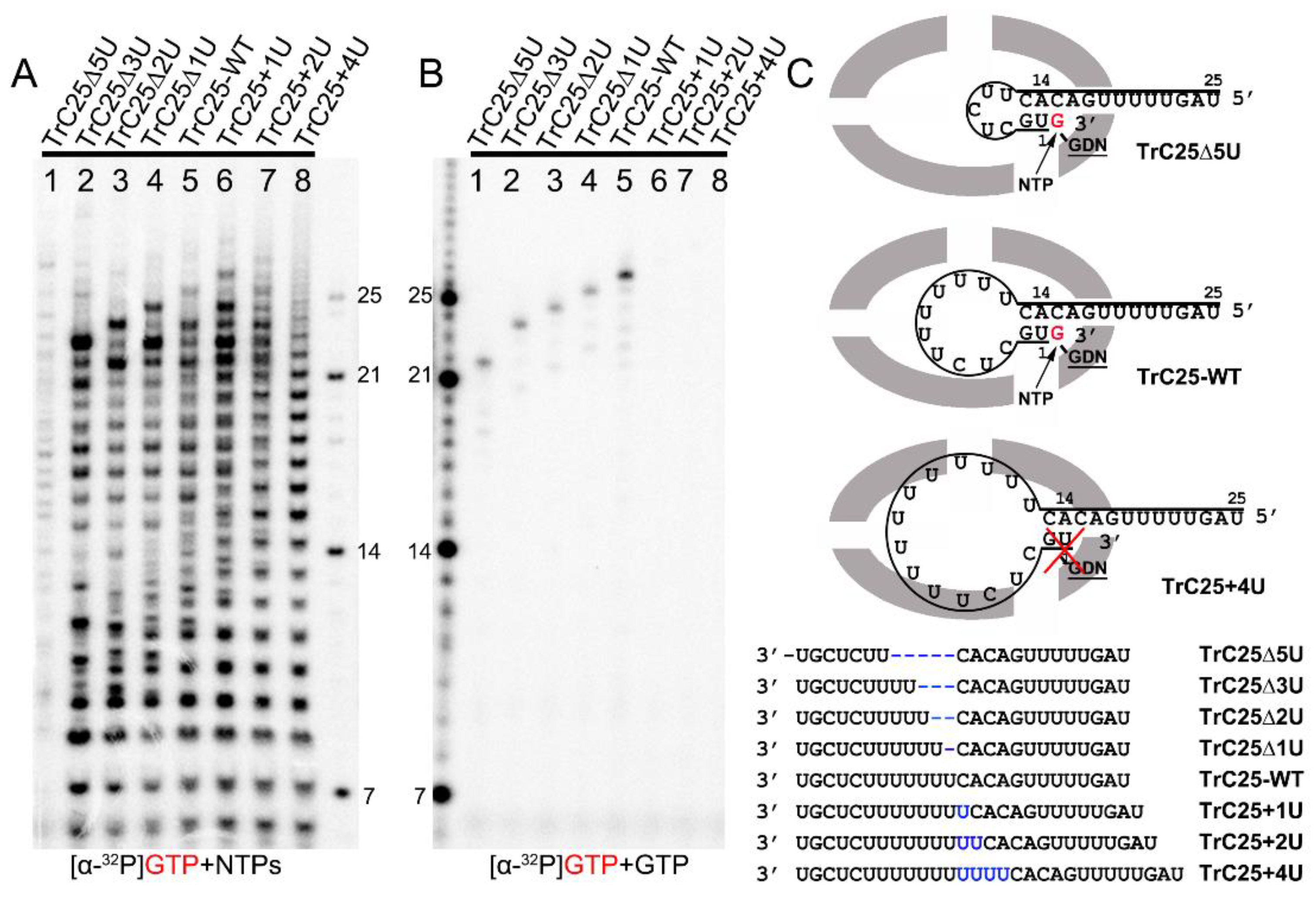 Viruses 15 00047 g002