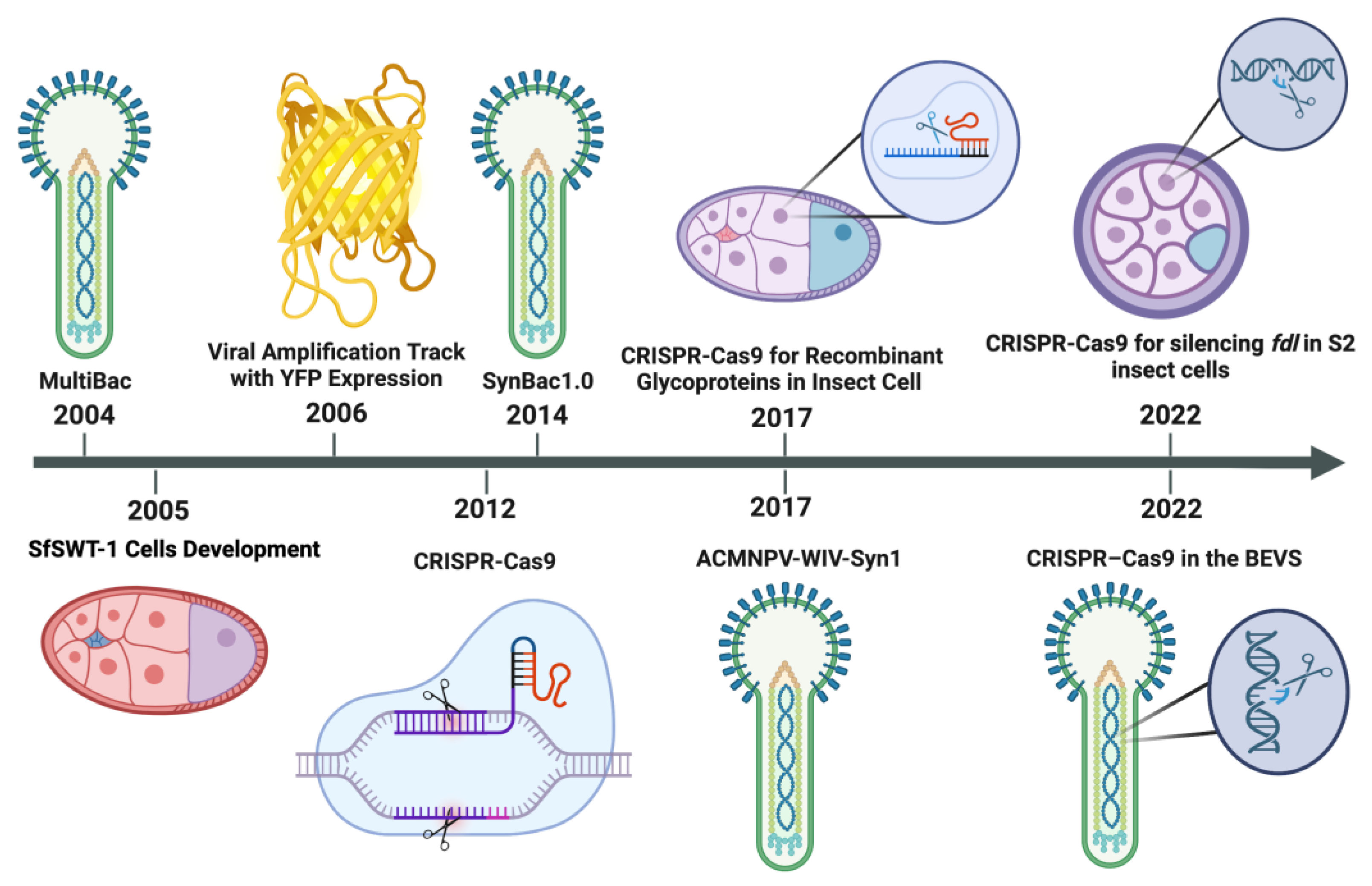 Viruses | Free Full-Text | Advances in CRISPR-Cas9 for the Baculovirus  Vector System: A Systematic Review