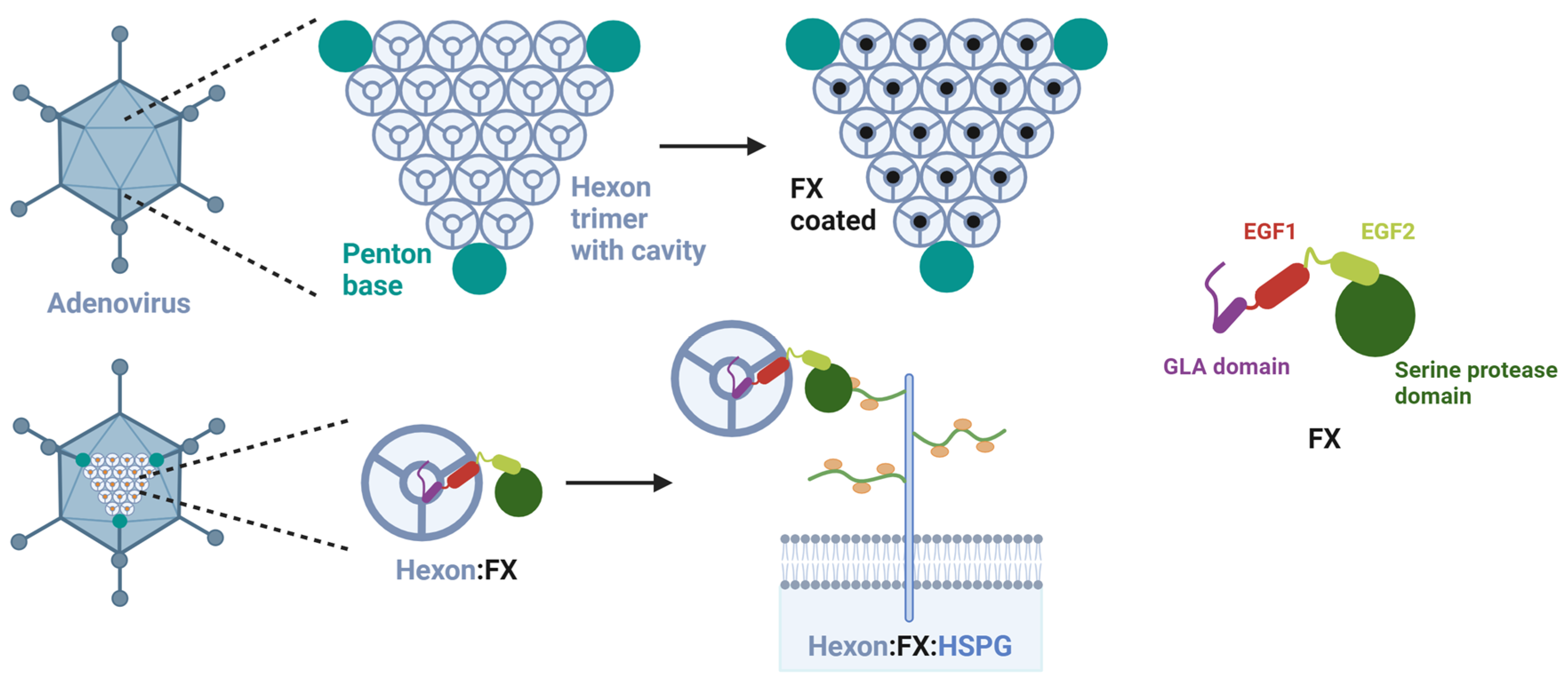 Viruses 15 00055 g001 Viruses 15 00055 g001