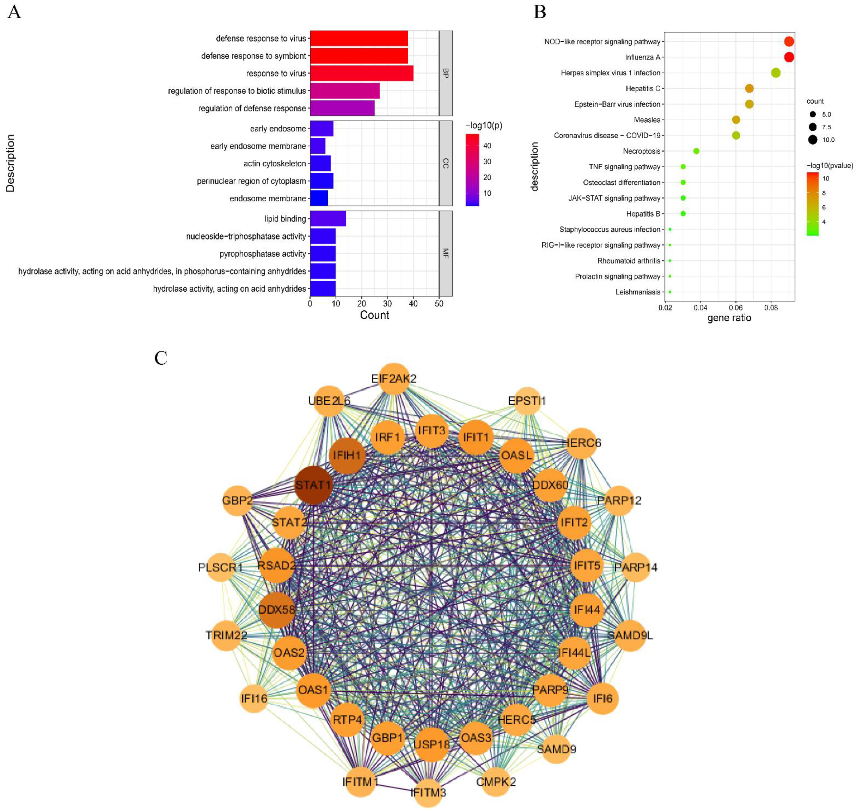 Viruses 15 00060 g005 Viruses 15 00060 g005