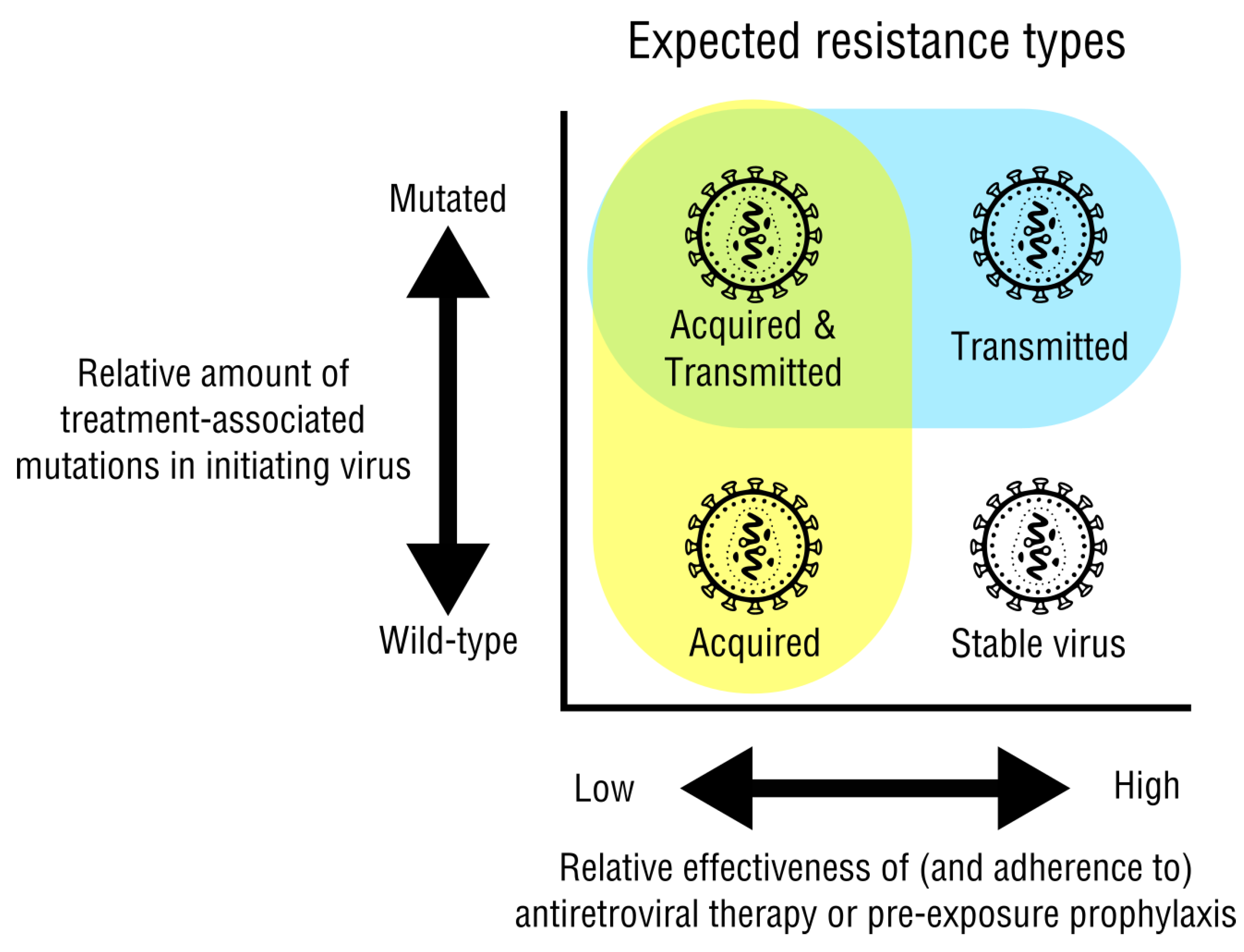 Viruses | Free Full-Text | The Effect of Treatment-Associated Mutations on  HIV Replication and Transmission Cycles