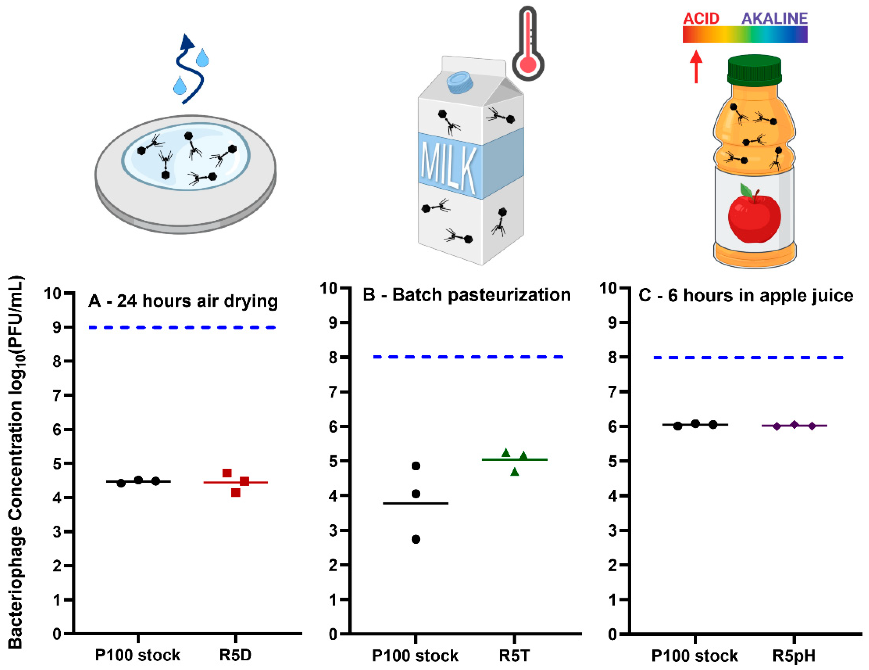 Viruses 15 00113 g007