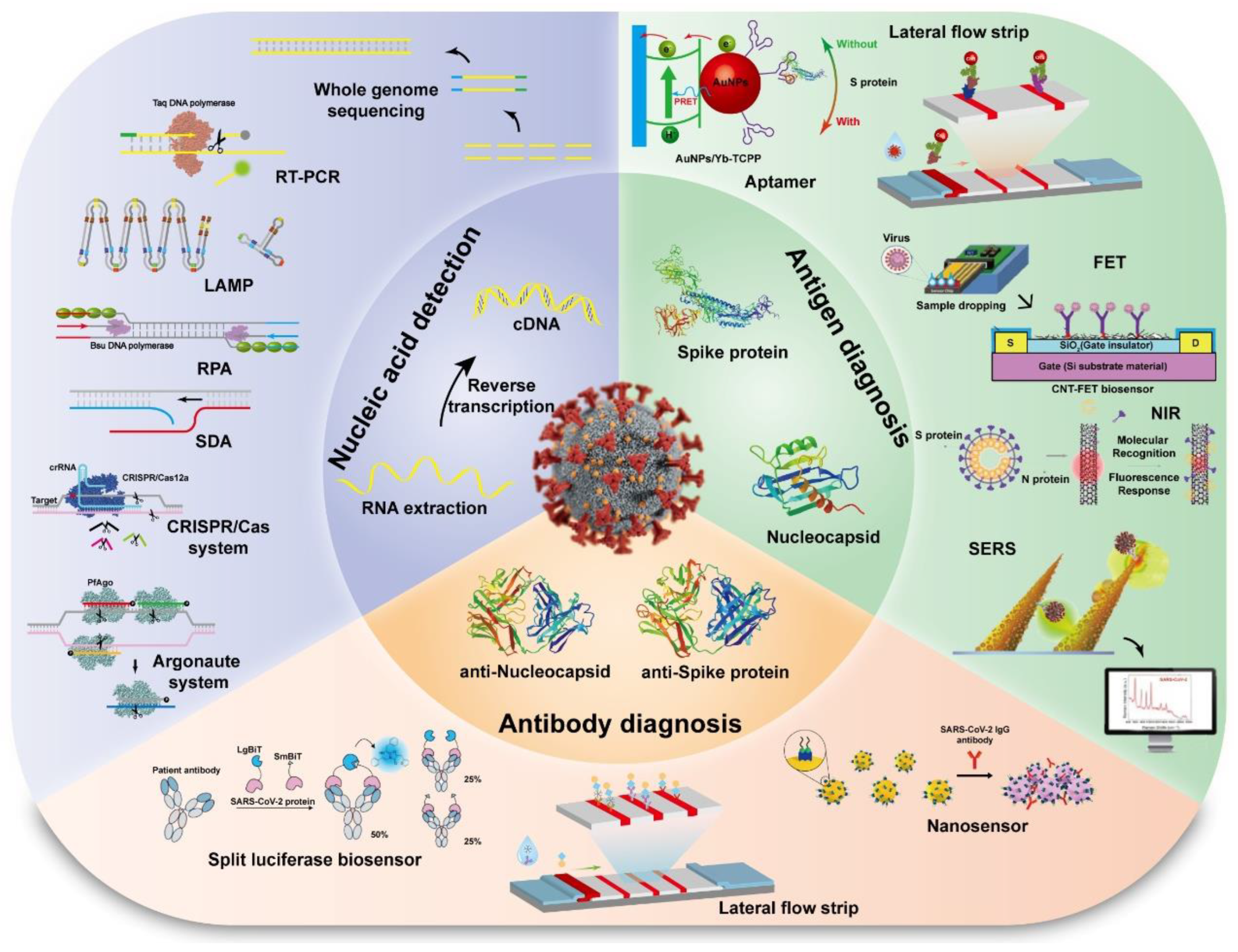 Viruses 15 00120 g003
