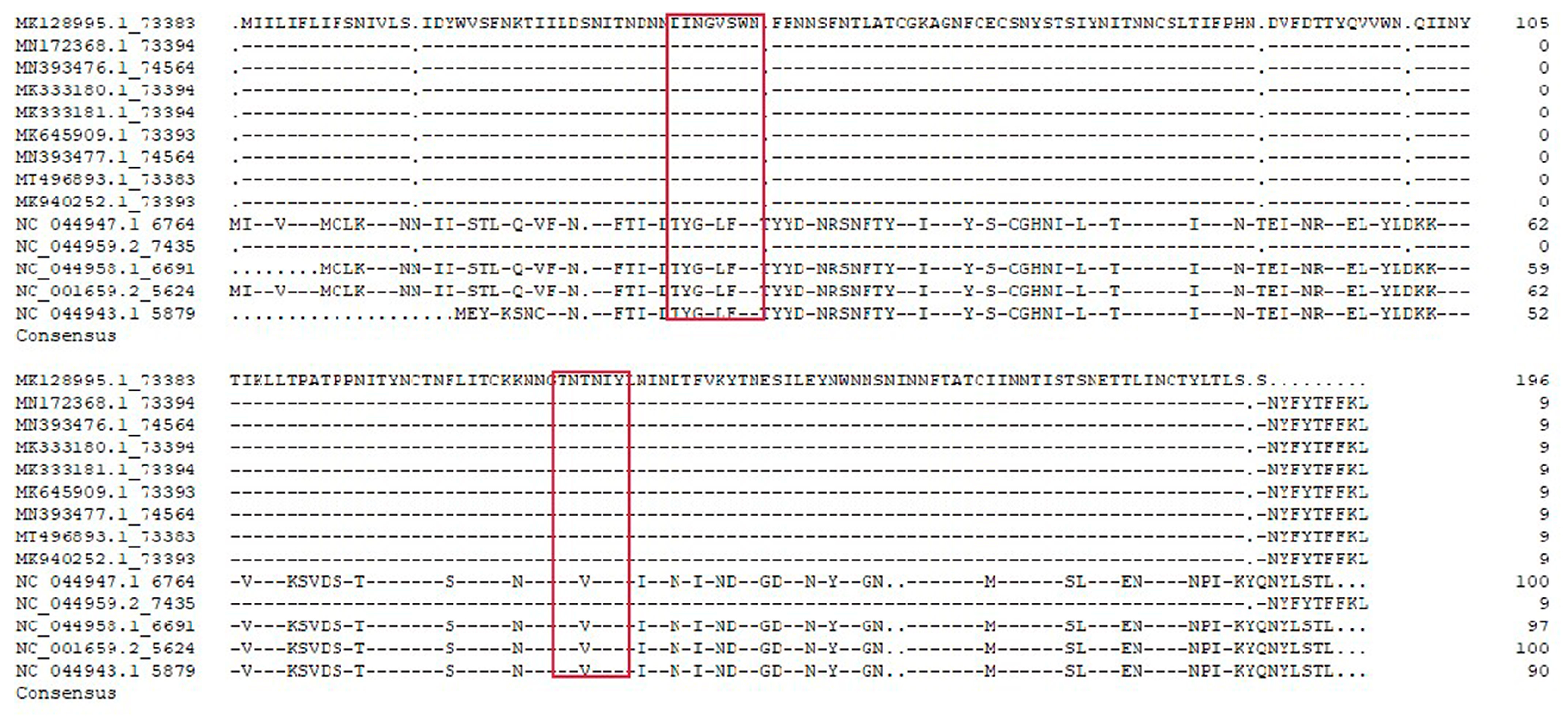Viruses 15 00131 g005 Viruses 15 00131 g005