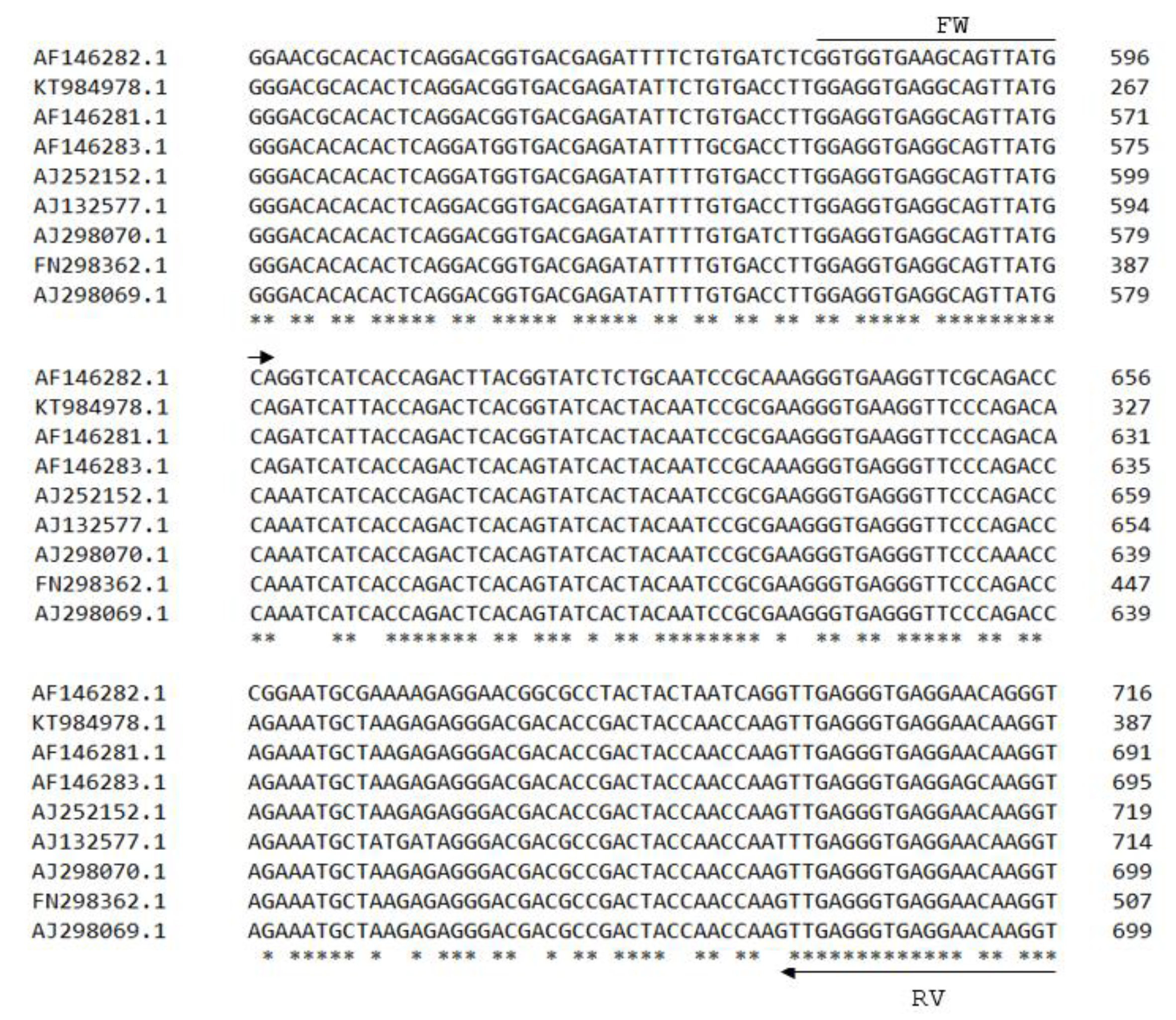 Viruses 15 00140 g002