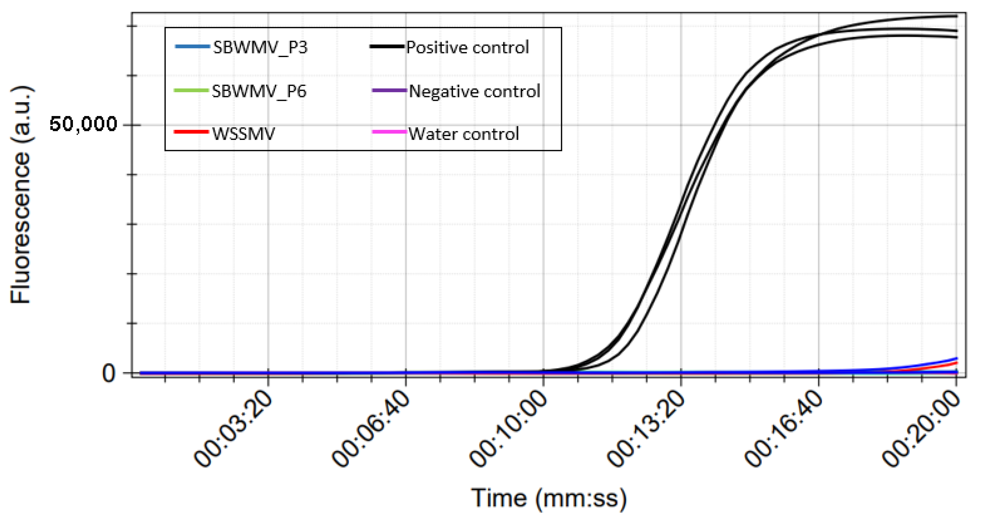 Viruses 15 00140 g004