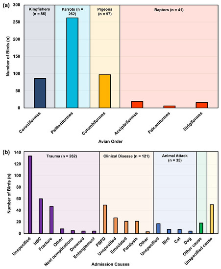 A cumulative graph showing the number of bat species recorded from