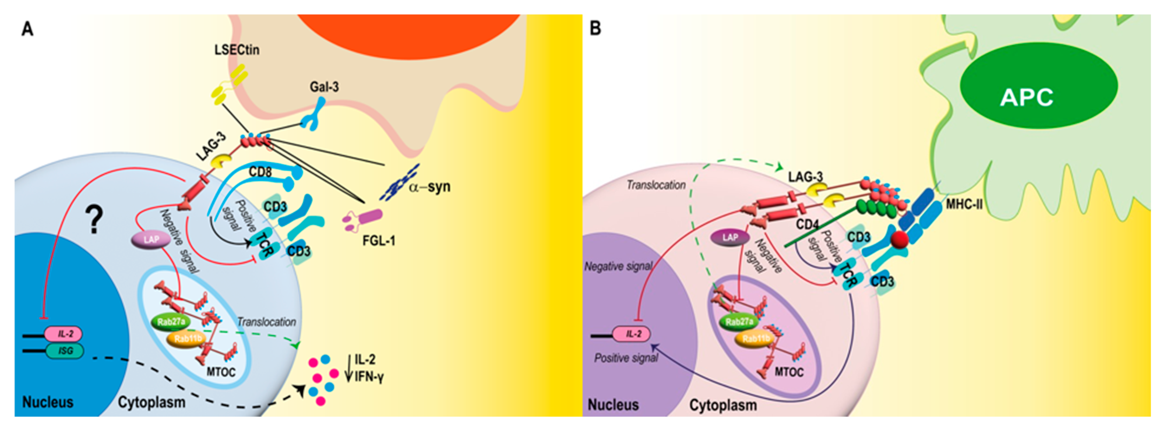 Viruses 15 00147 g002 Viruses 15 00147 g002