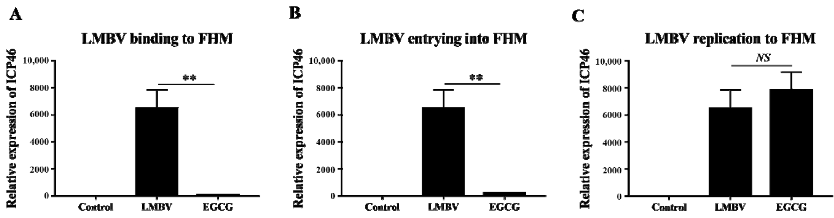 Viruses 15 00151 g004