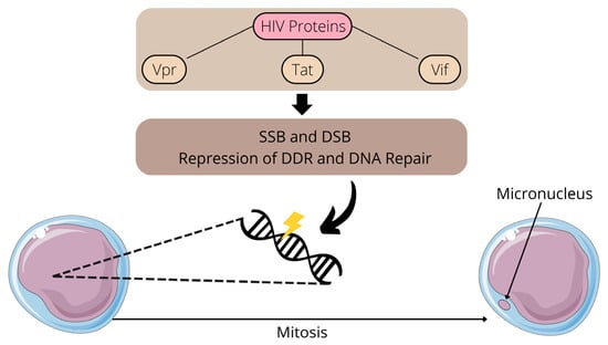 Viruses, Free Full-Text