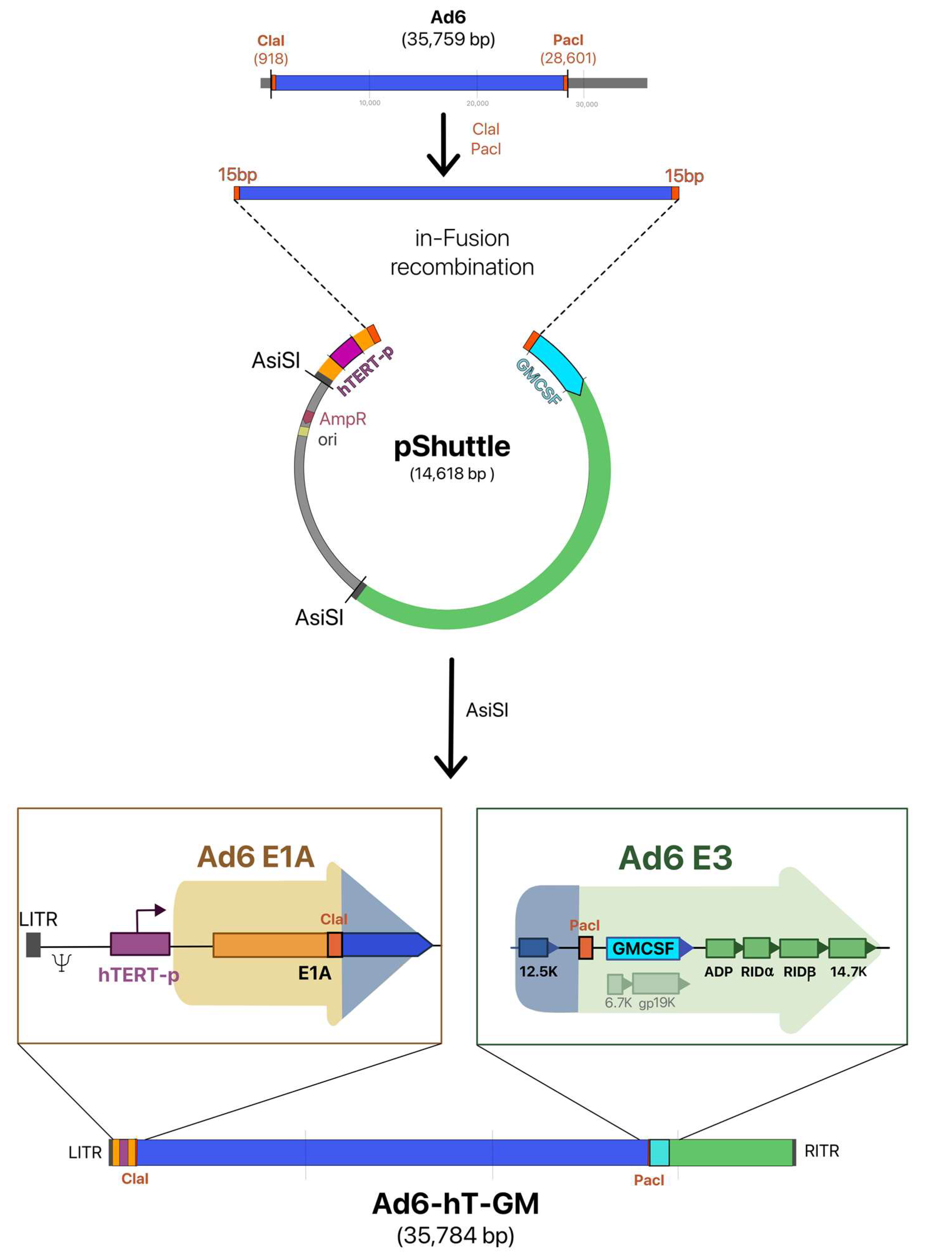 Viruses 15 00182 g001 Viruses 15 00182 g001