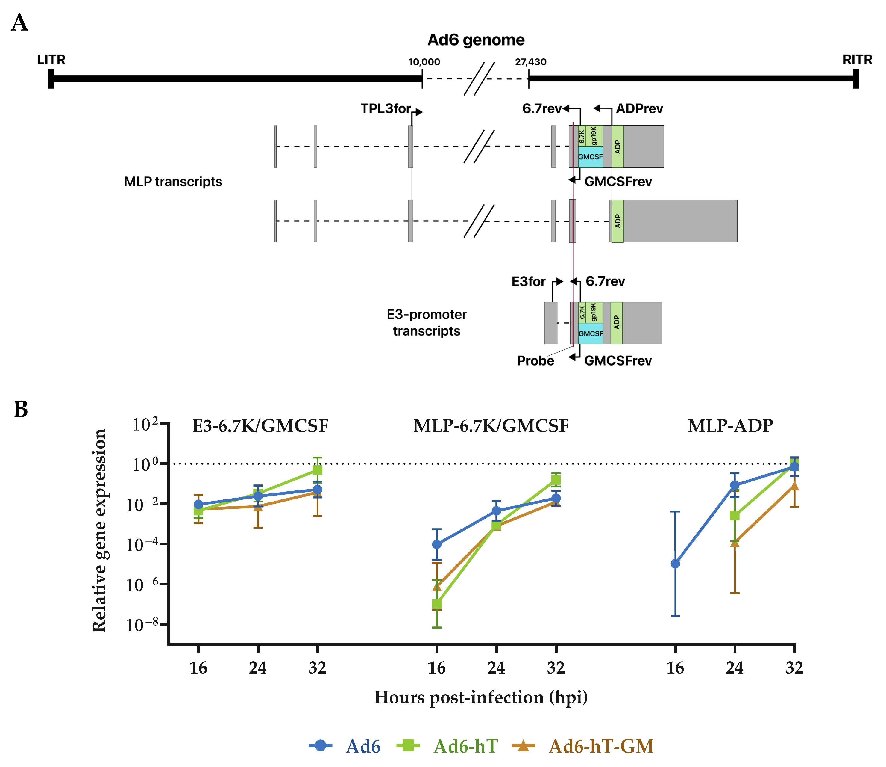 Viruses 15 00182 g004 Viruses 15 00182 g004