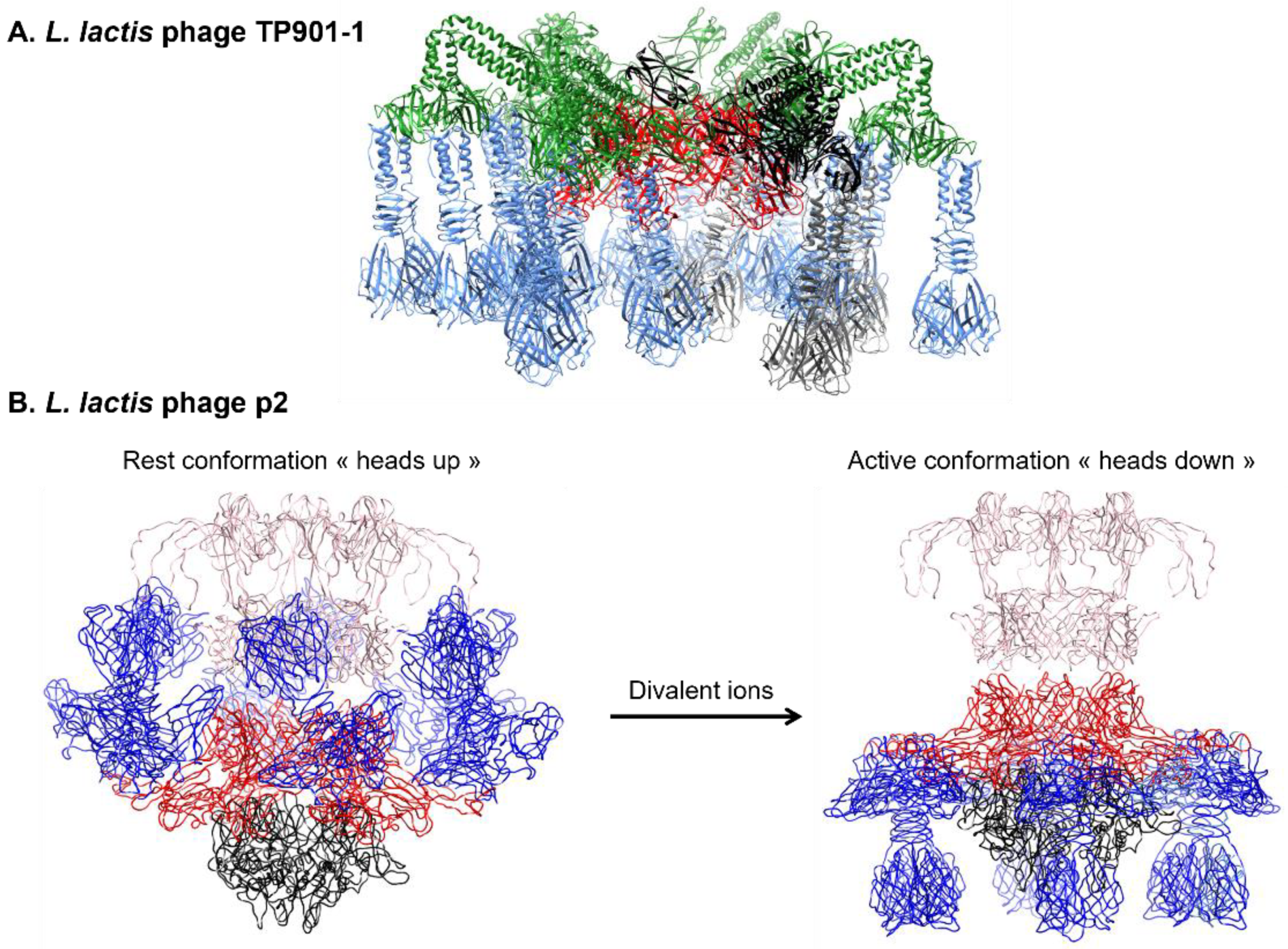 Viruses 15 00196 g006