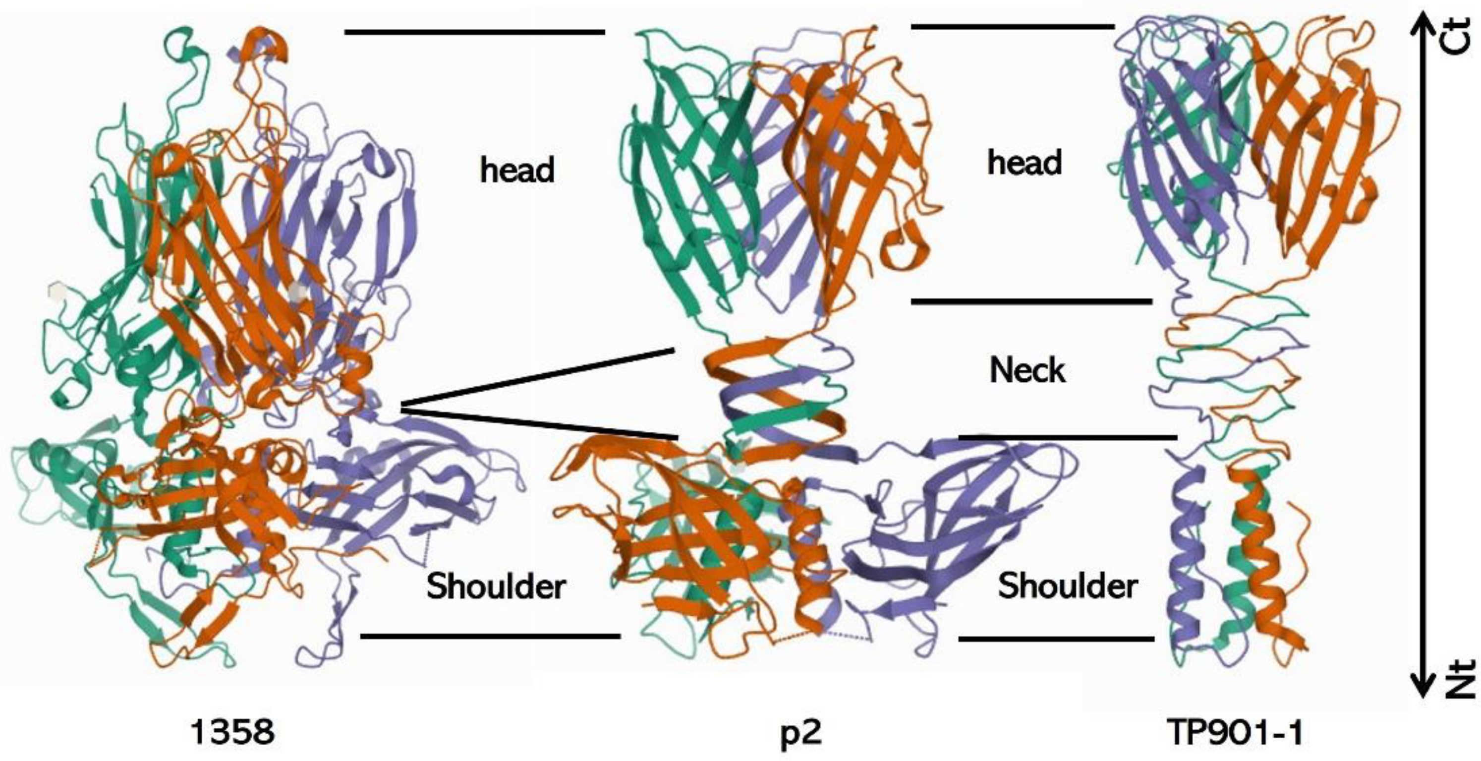 Viruses 15 00196 g008