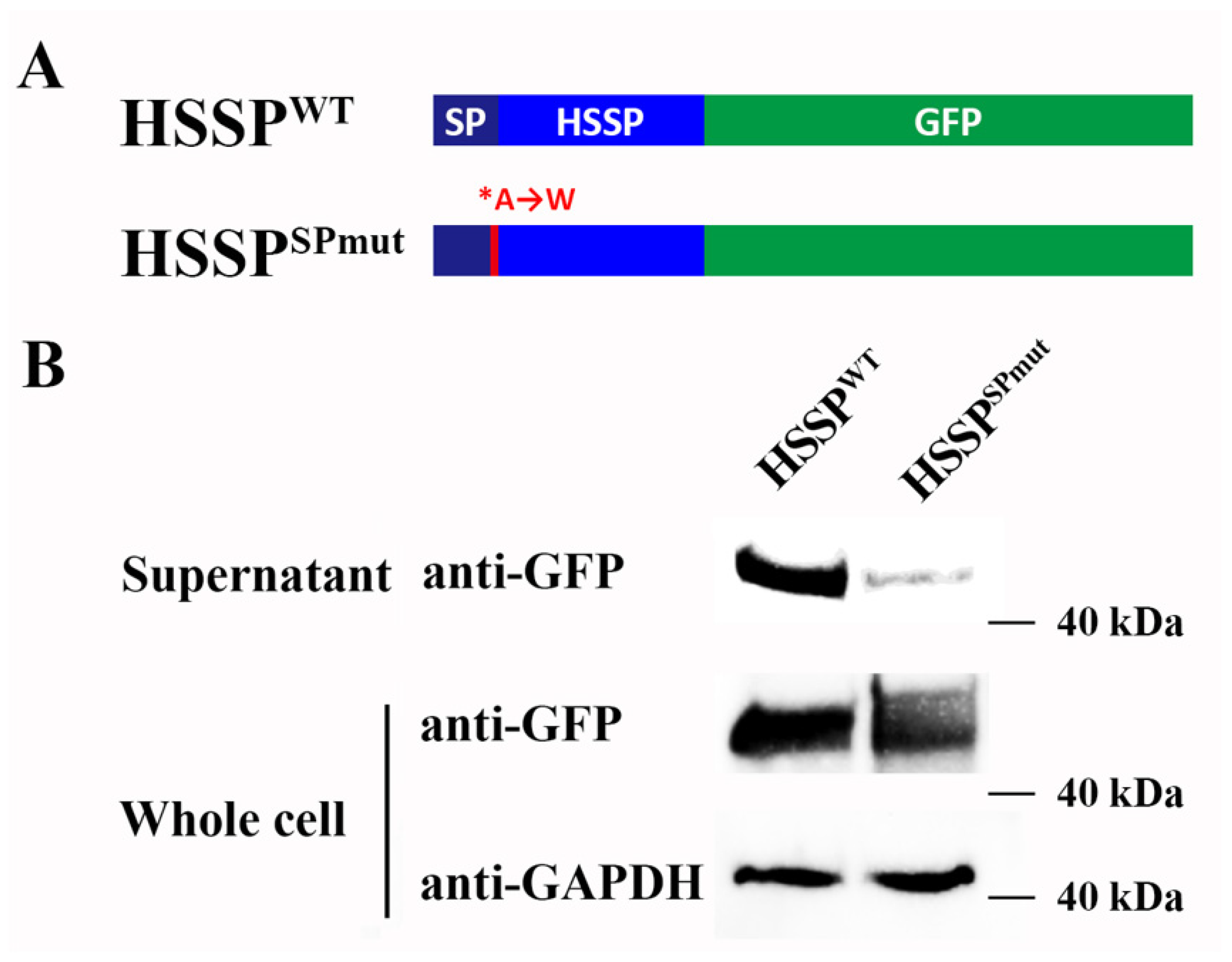 Viruses 15 00227 g003 Viruses 15 00227 g003