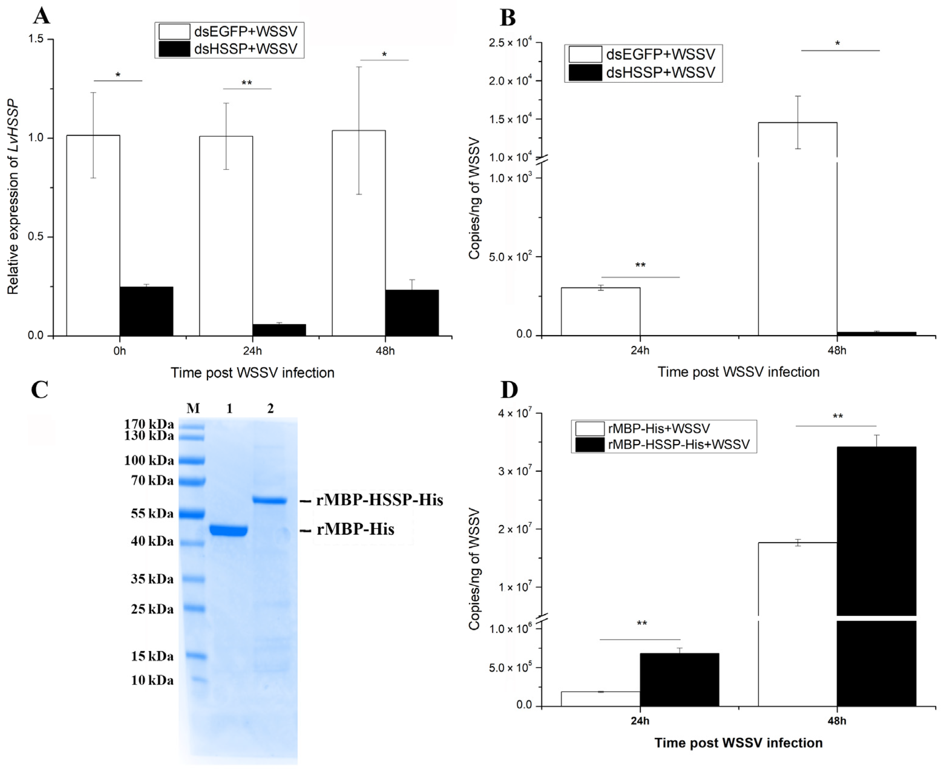 Viruses 15 00227 g006 Viruses 15 00227 g006