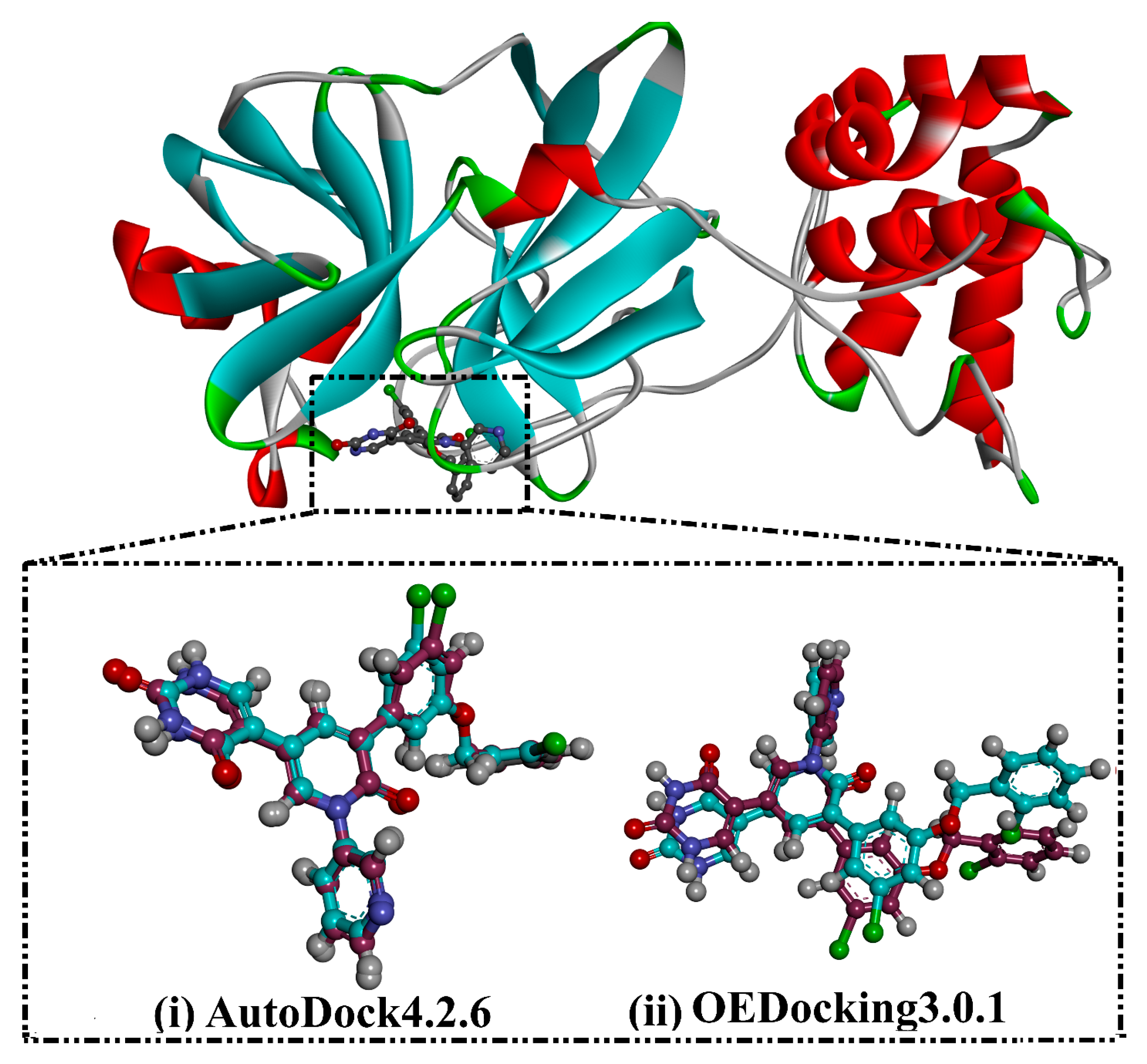 Viruses 15 00250 g002