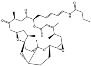 Viruses 15 00250 i006