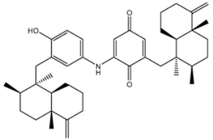 Viruses 15 00250 i008