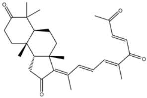 Viruses 15 00250 i009