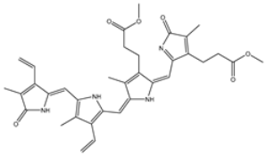 Viruses 15 00250 i011